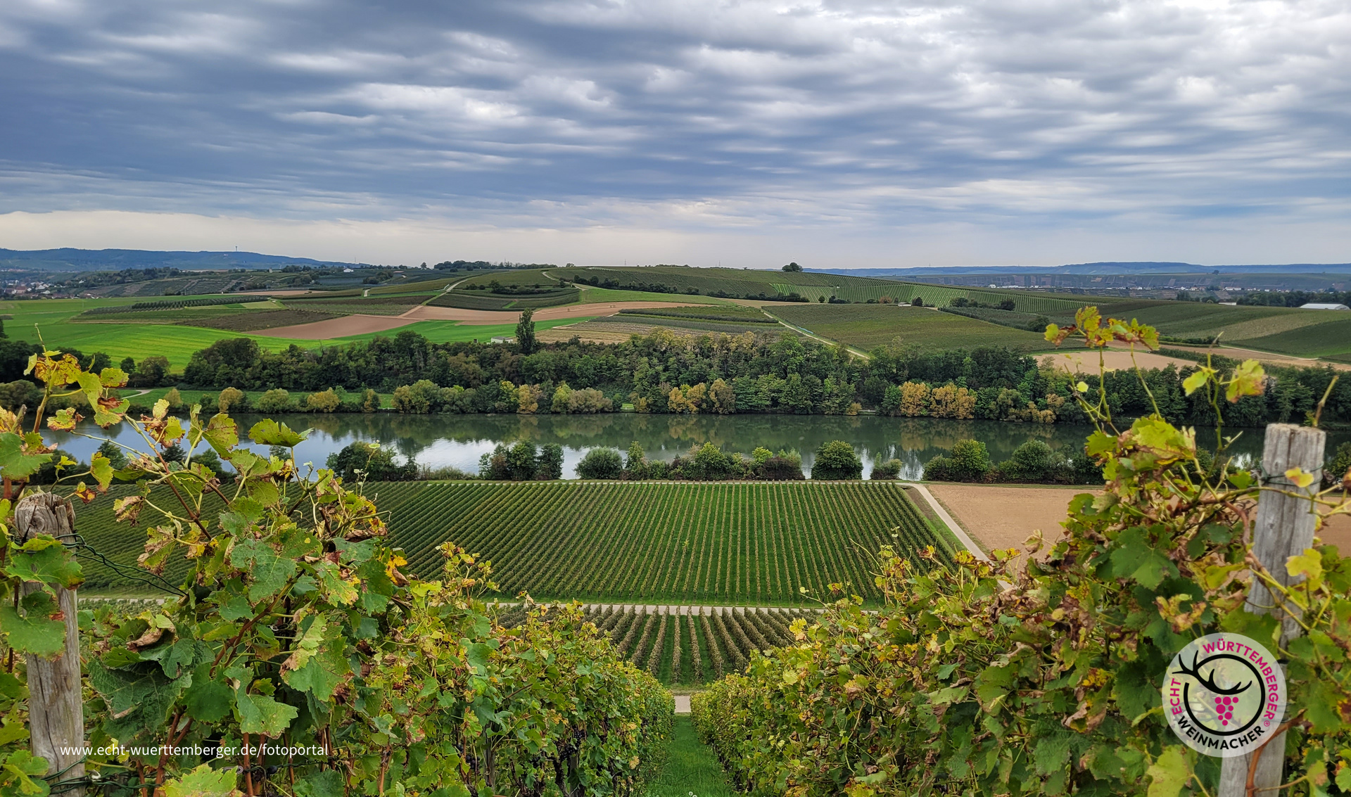 Wolkig mit Aussicht auf guten Wein