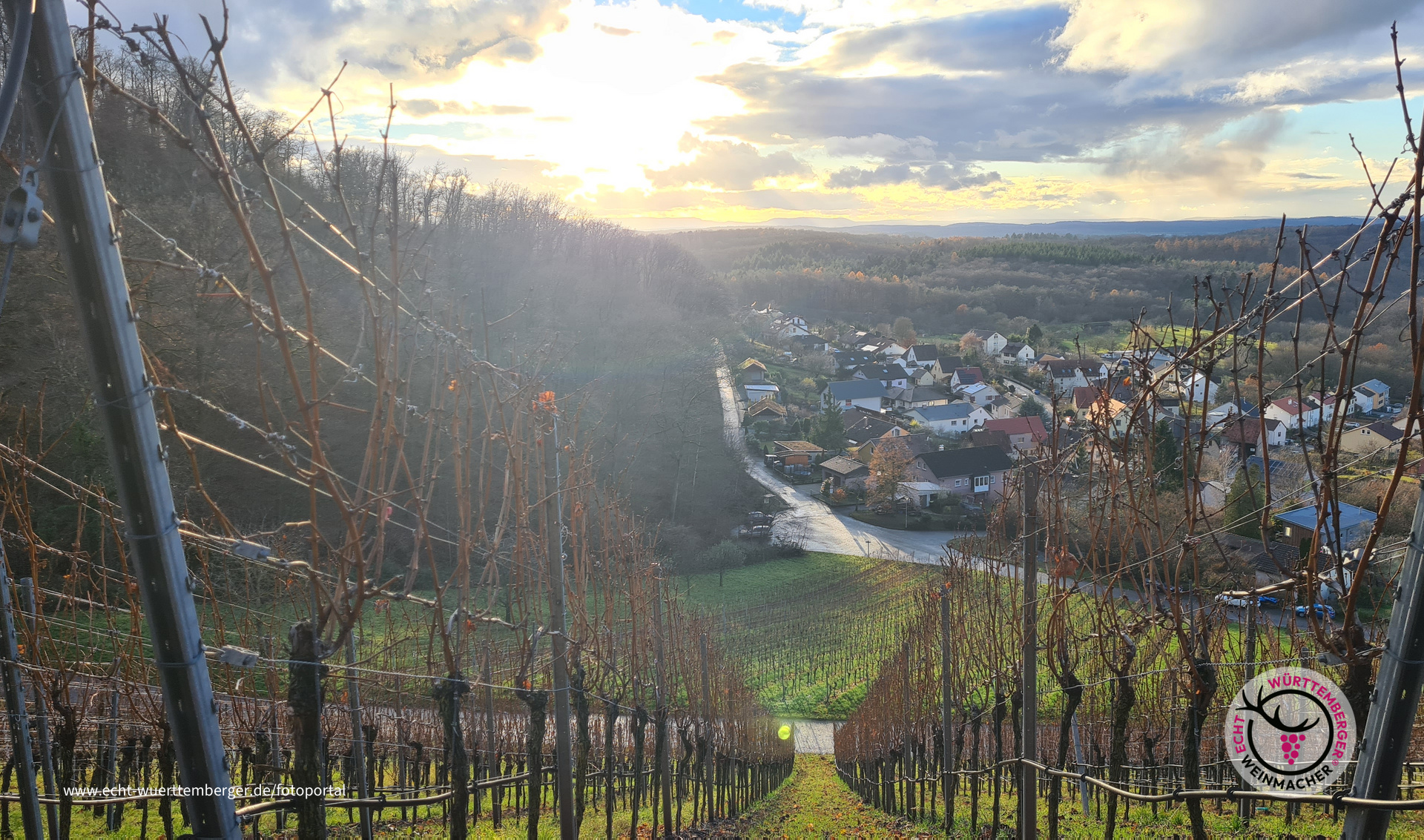 Abendsonne am Schlossberg