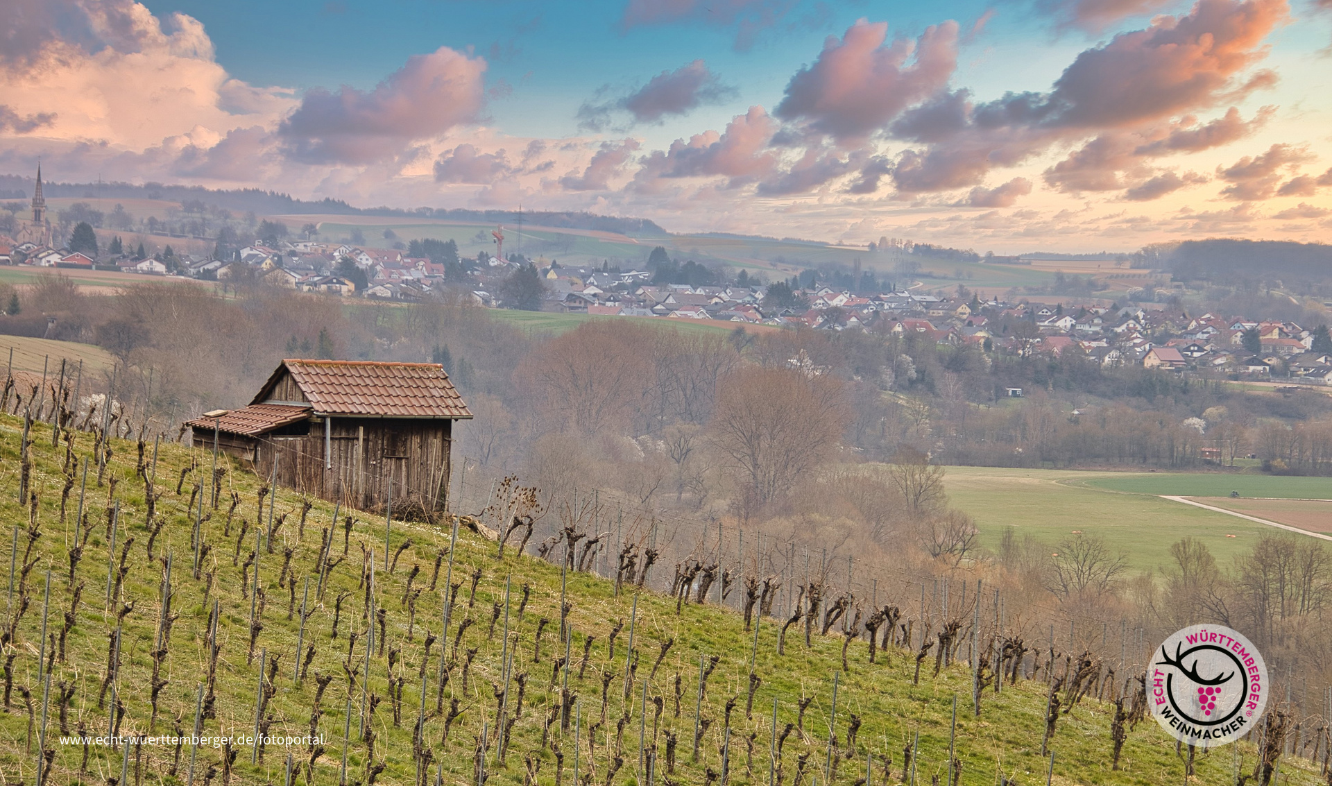 Frühlingsaussicht im Wengert