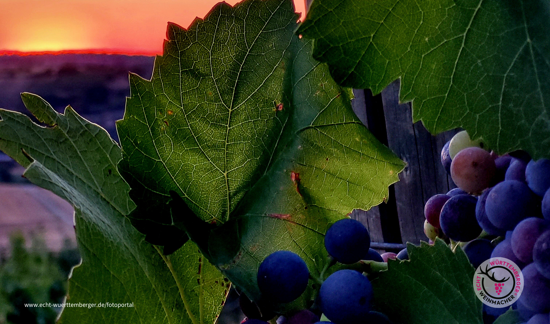 Abendstimmung im Lembergerland