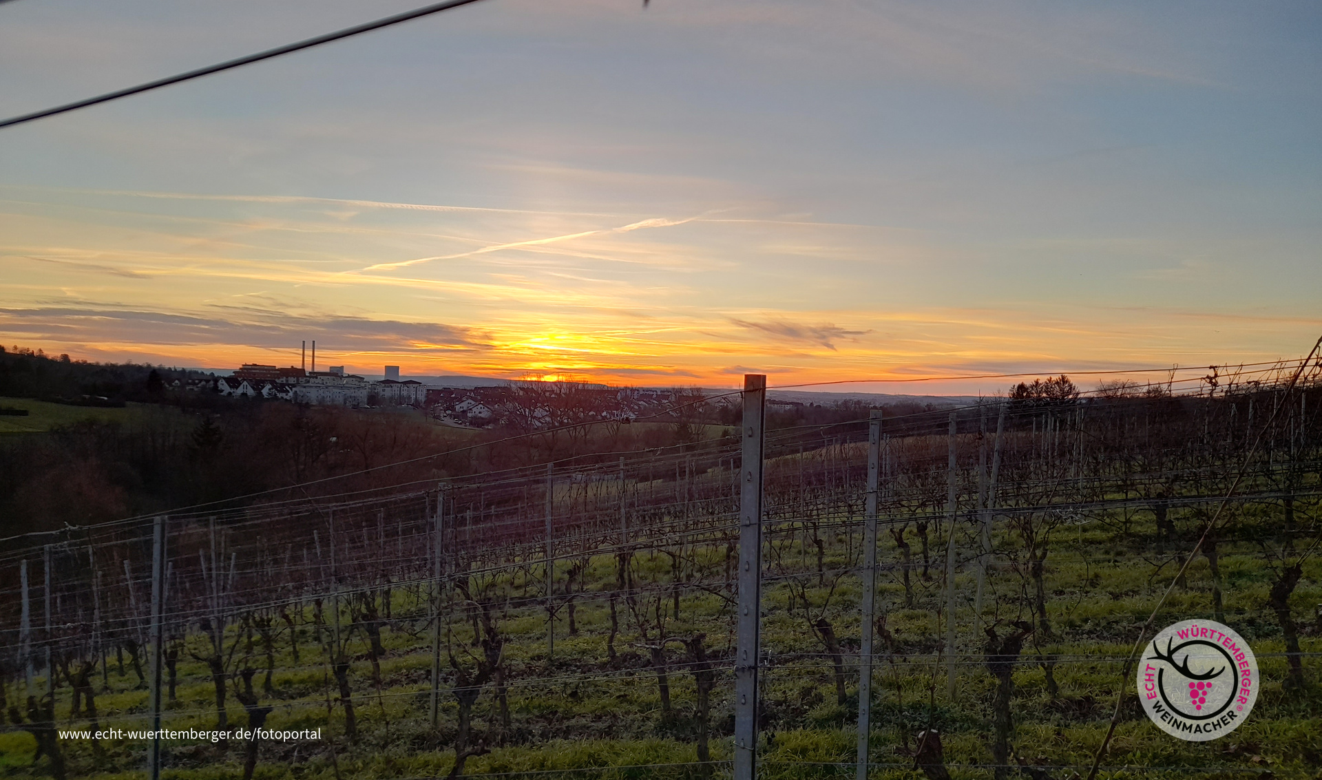 Sonnenuntergang im Weinberg 