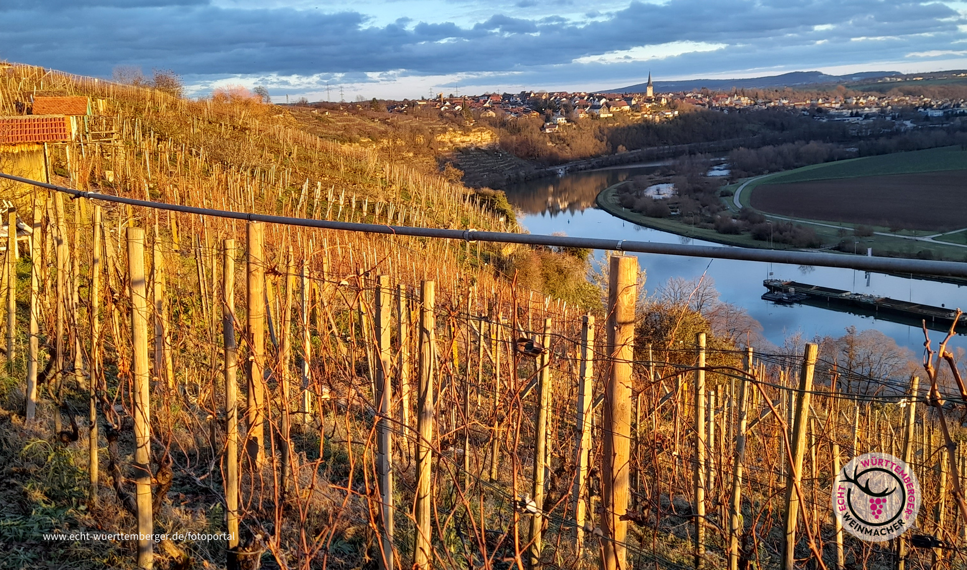 Wintersonne in der Neckarhälde