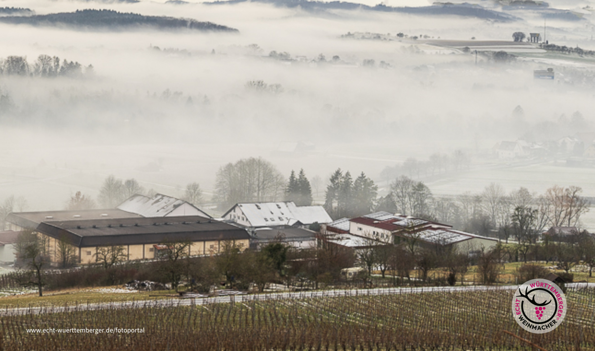 Die Weinkellerei im Nebel