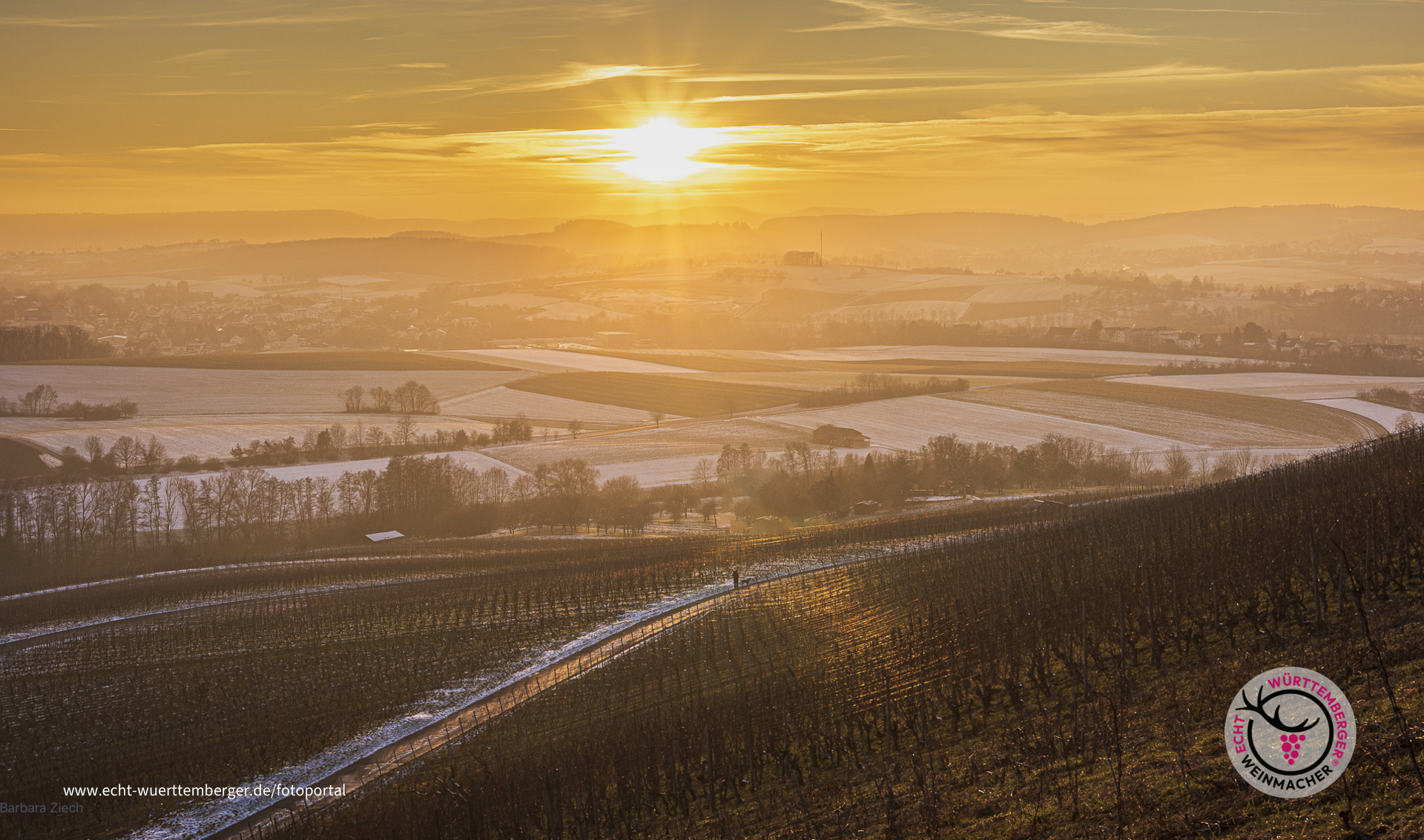 Die gelbe Stunde überm Weinberg