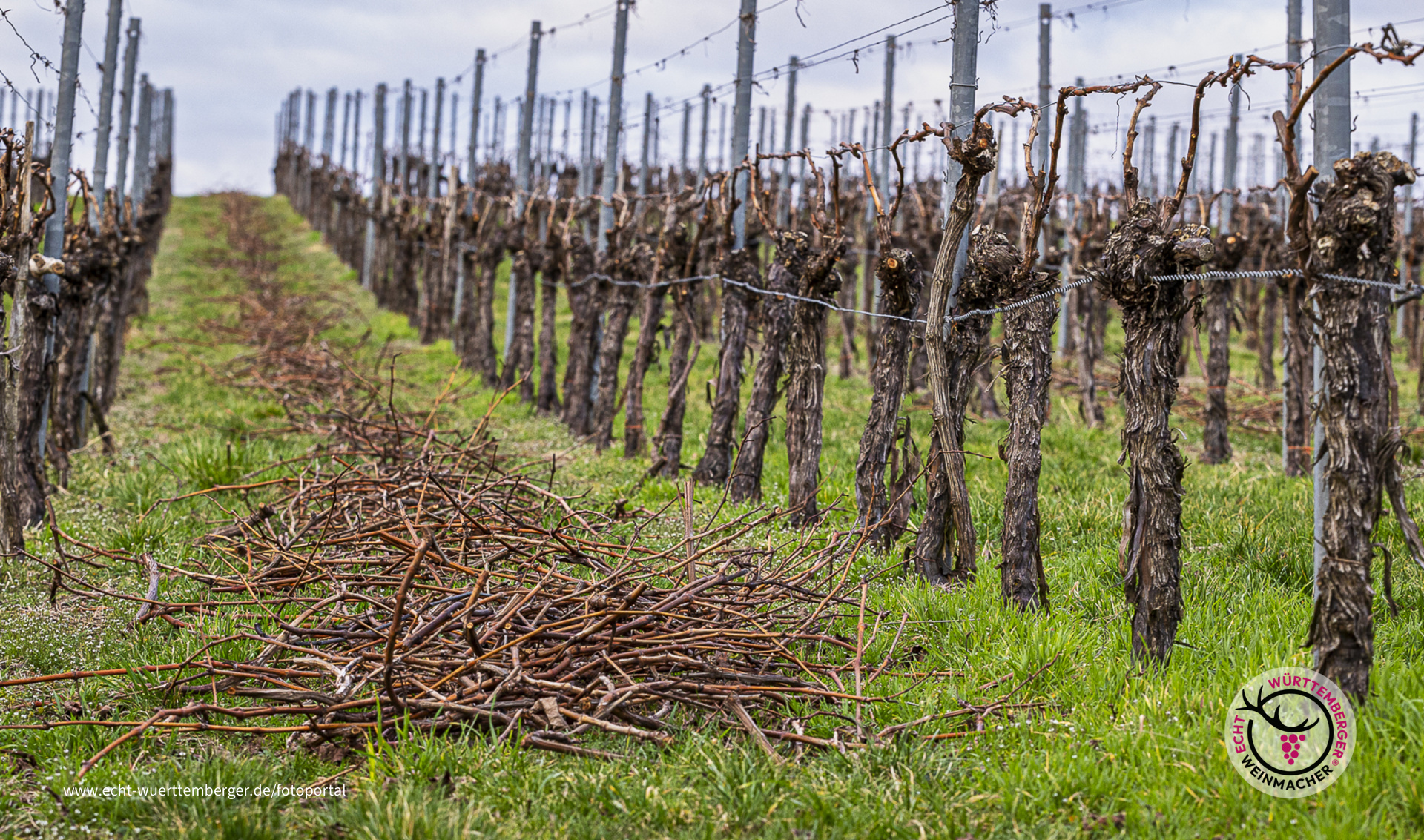 Aufgeräumt ..., jetzt kann der Frühling kommen