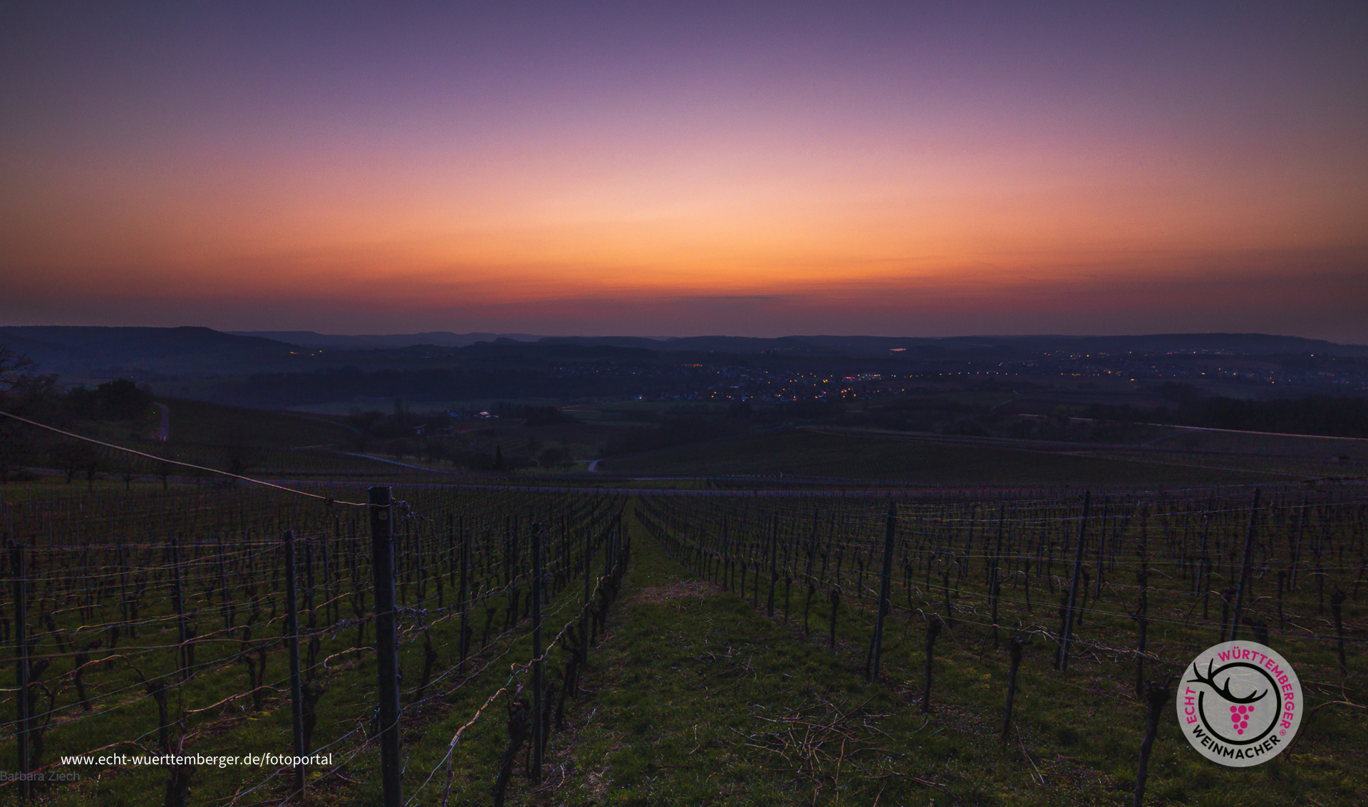 Vorfreude auf das Rebenglühen ab 7. März 2024