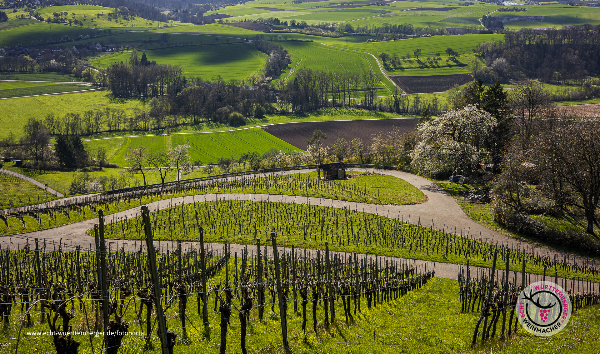 Toller Weitblick an einem Frühlingstag