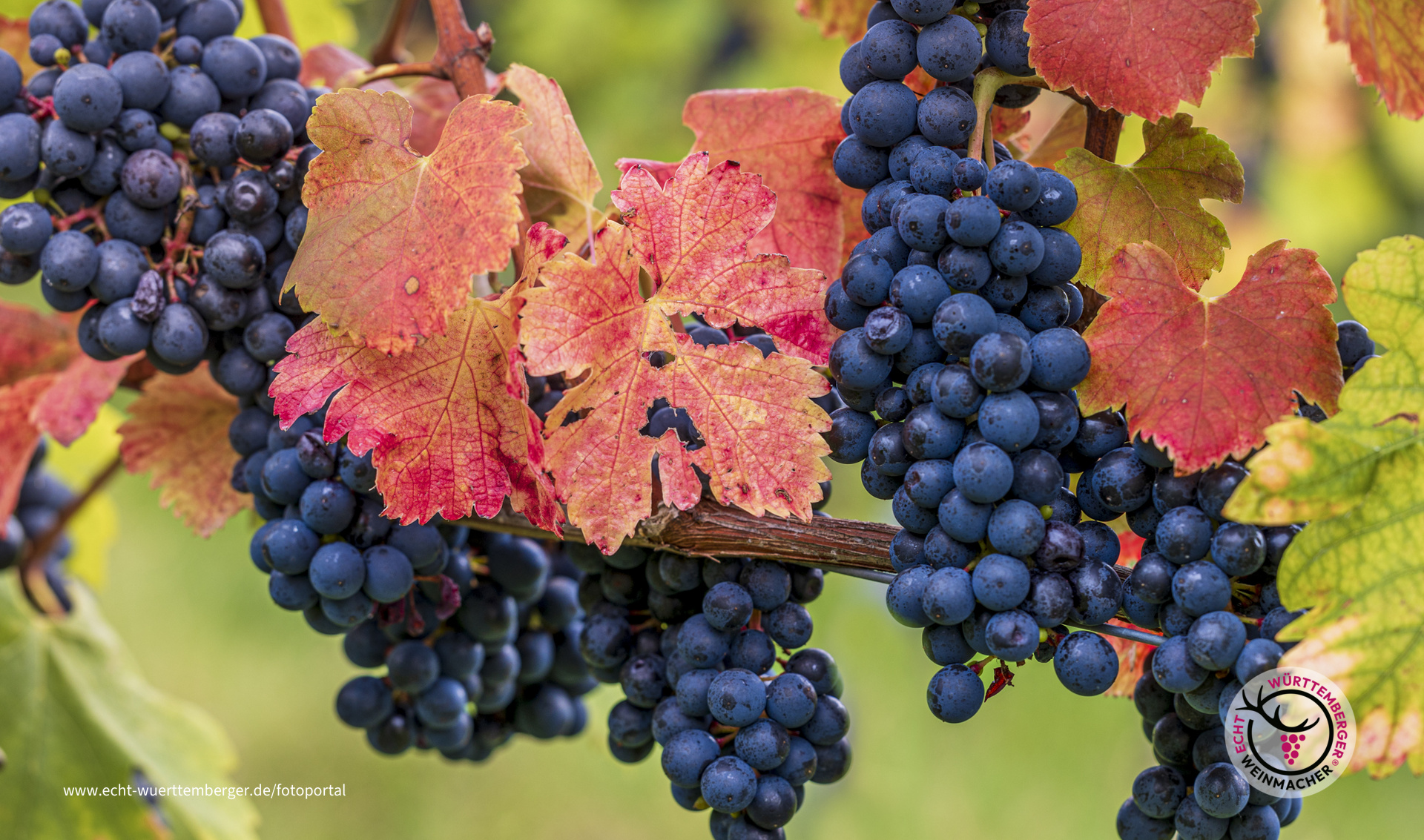 Ich kann mich nicht satt sehen