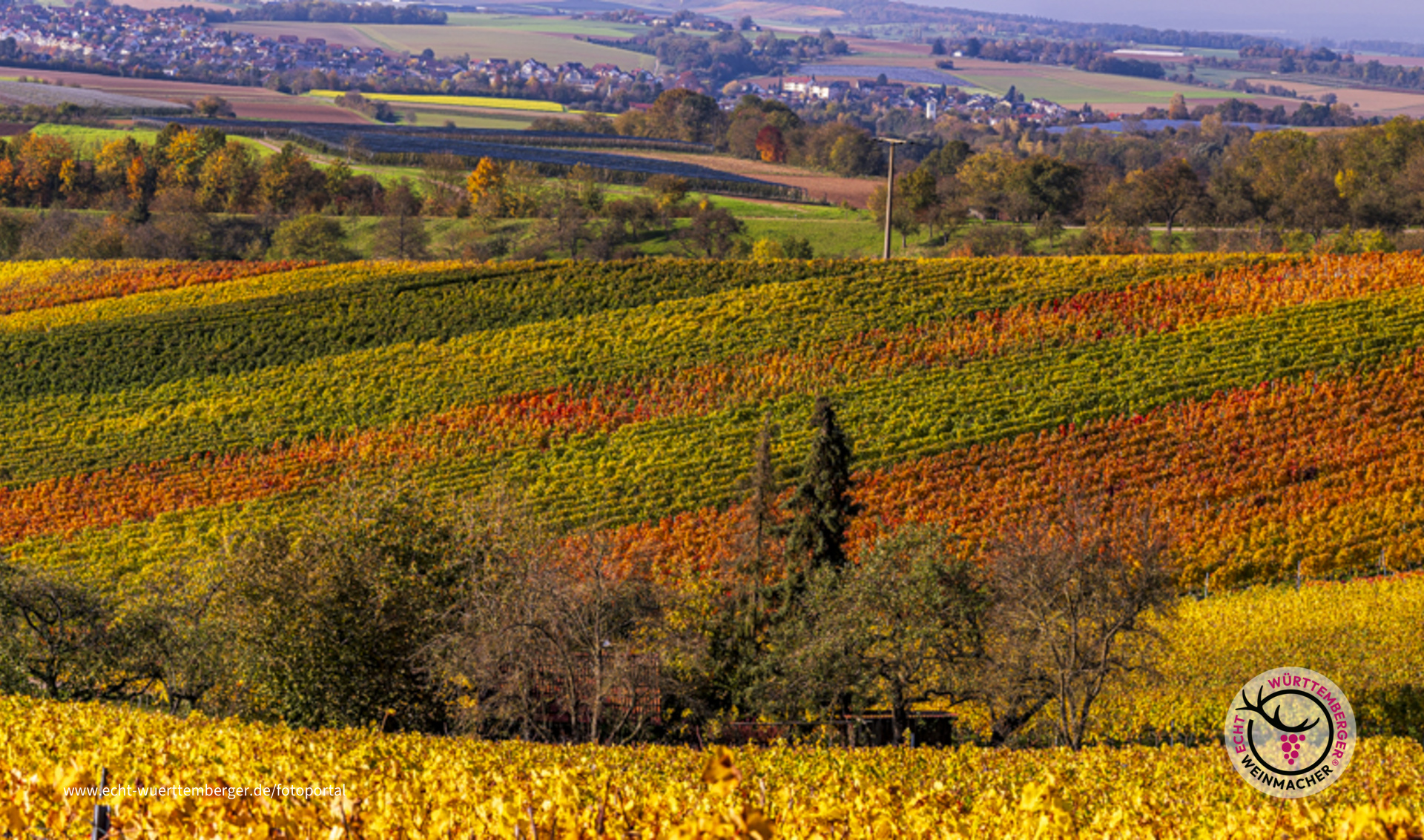 Ein letzter Sonnentag im Oktober  ...