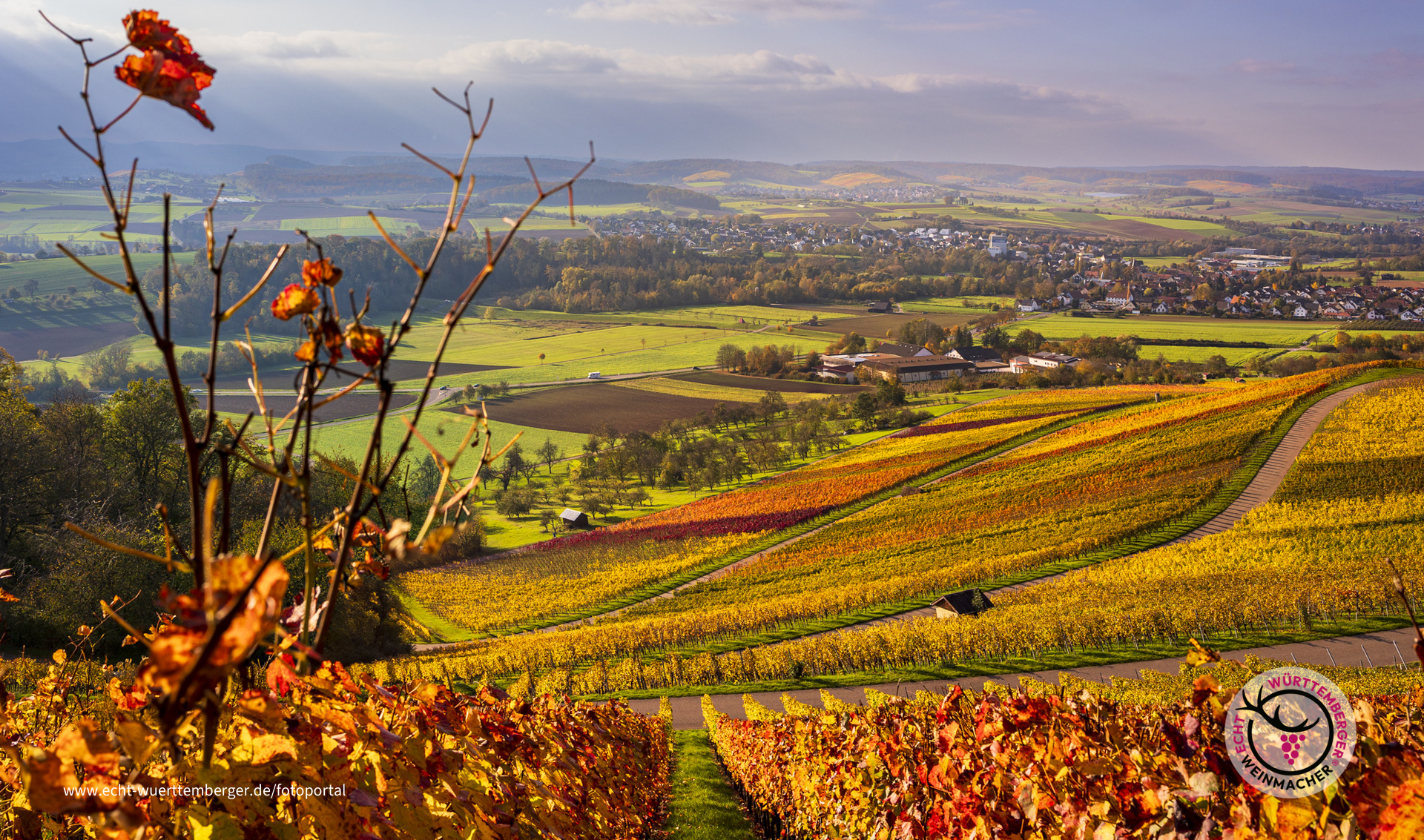 Traumhaftes Licht an einem Sonnentag oder doch Sonntag