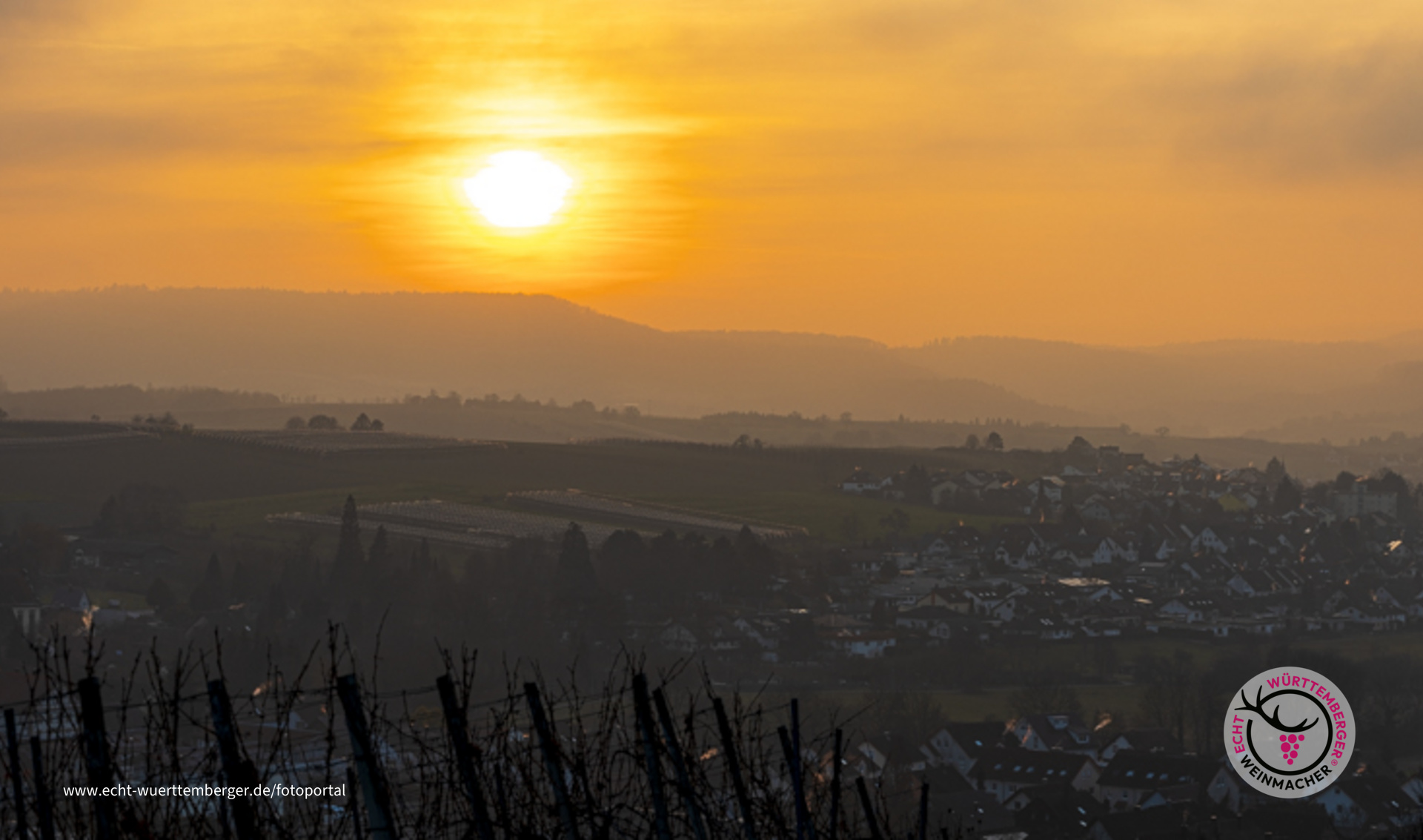 Nebel und Sonnenuntergang im Weinberg Eschenau/Obersulm