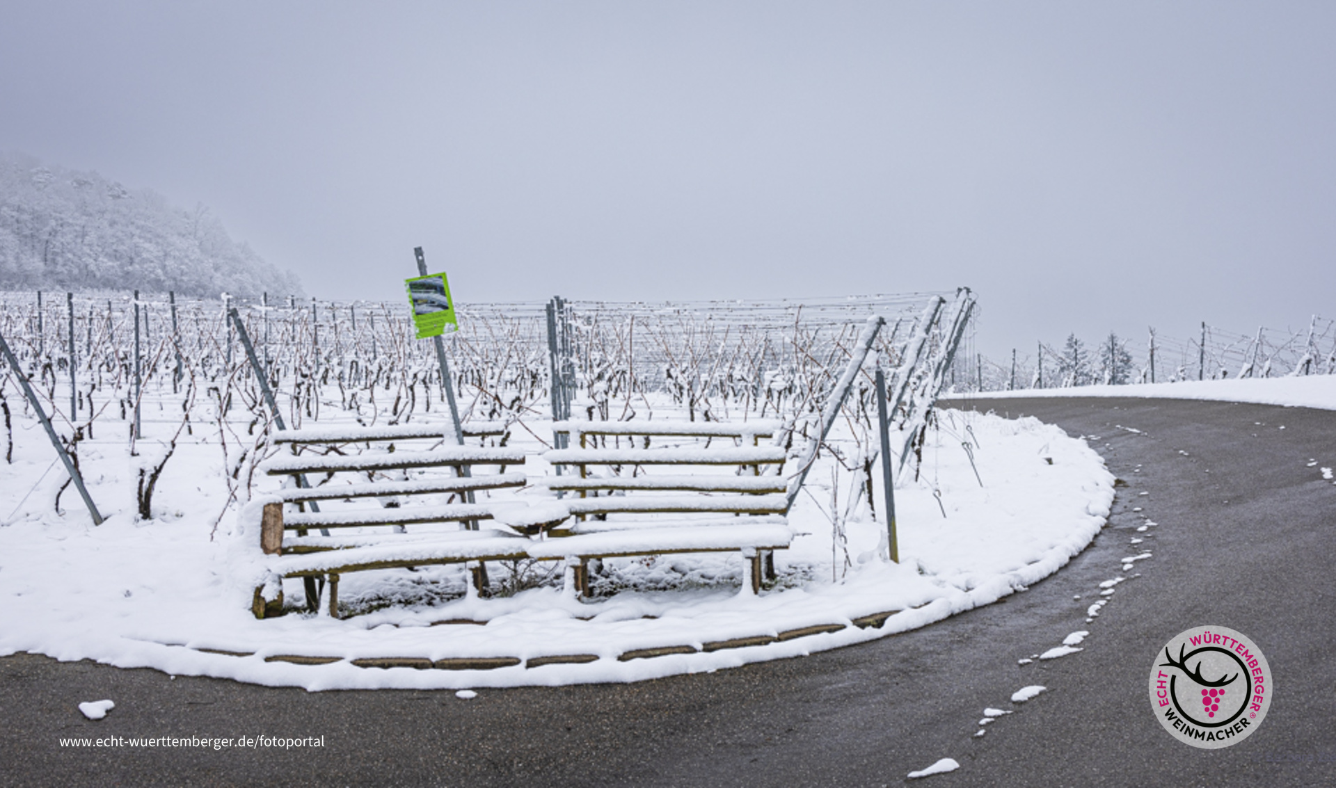 Die Bank im Weinberg oberhalb der Kelter Adolzfurt ist besetzt