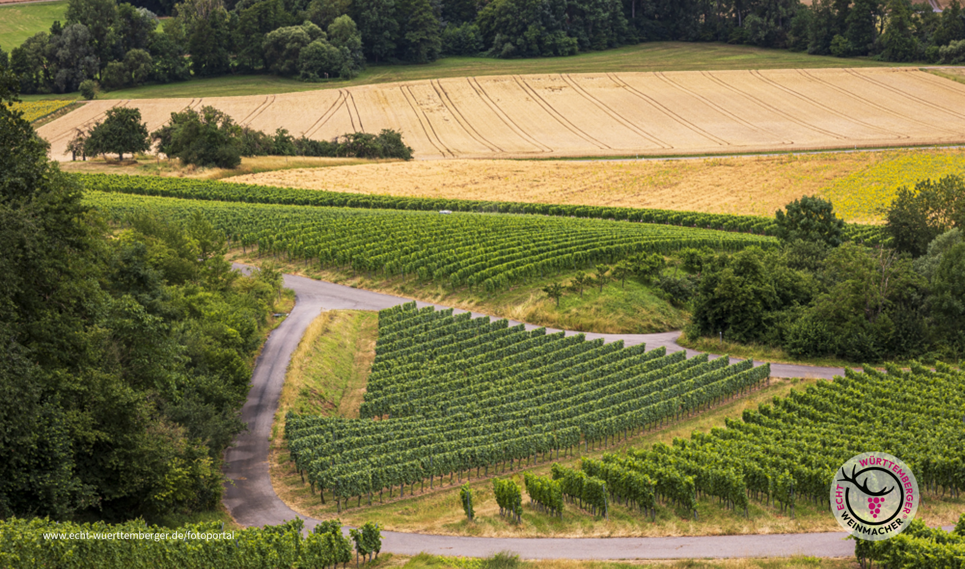 Die Landschaft bildet Linien, wenn man sie richtig liest 