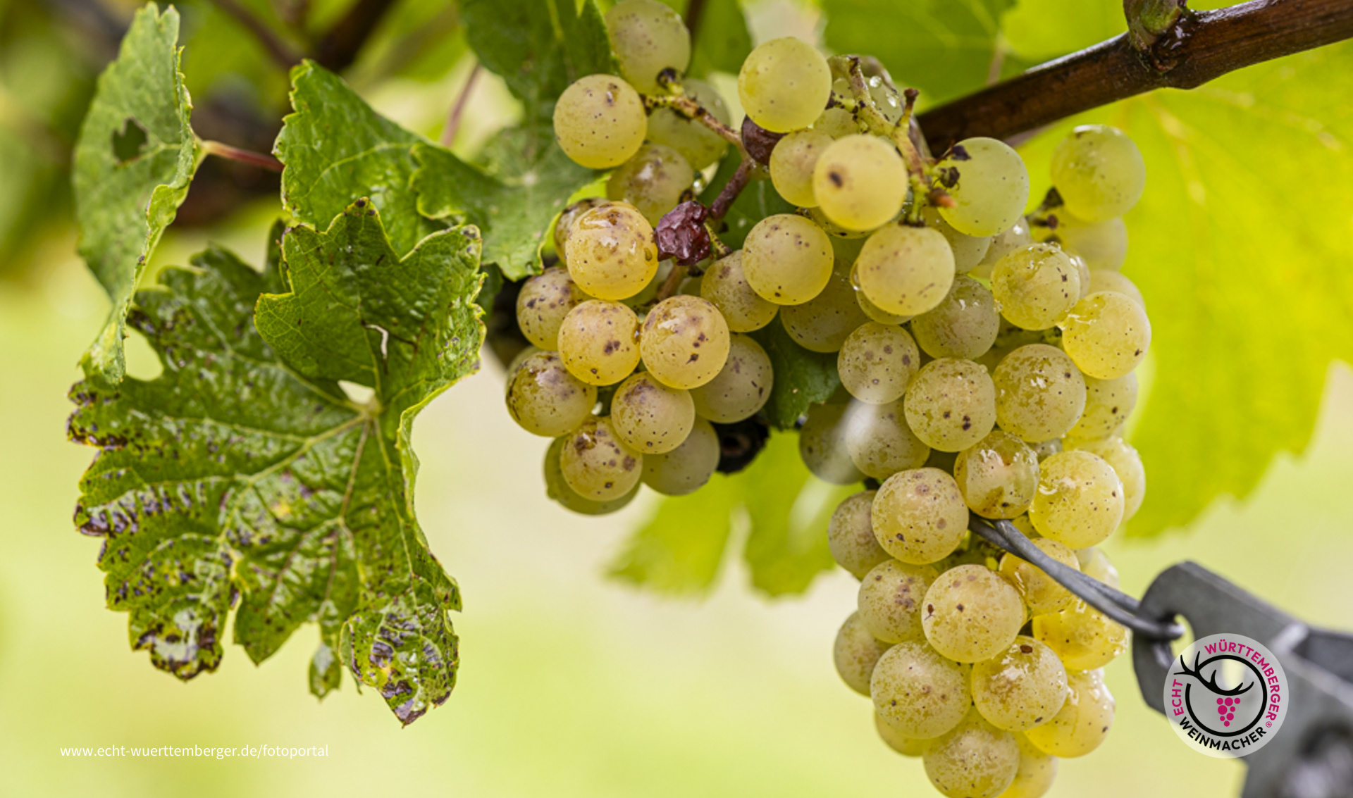 Gestern noch da - heute schon weg