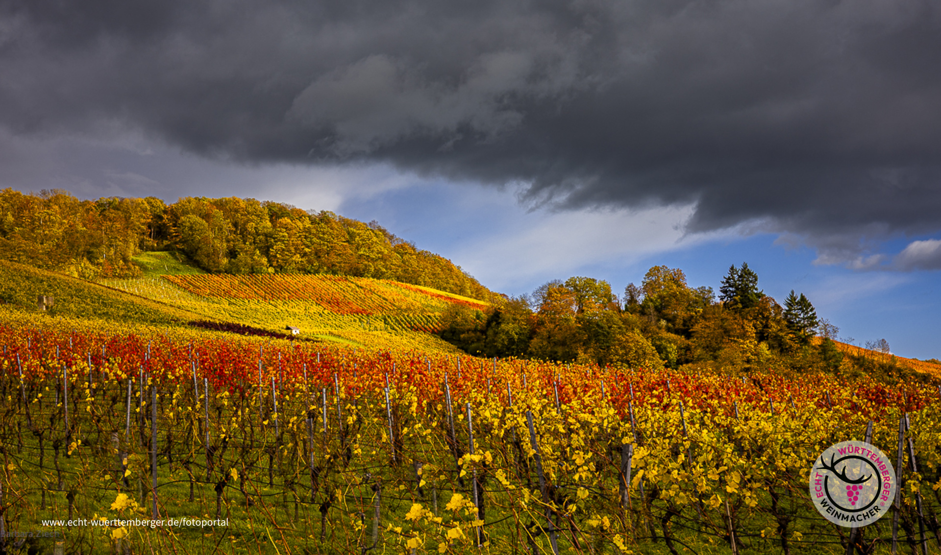 Wenn sich ein Gewitter ankündigt