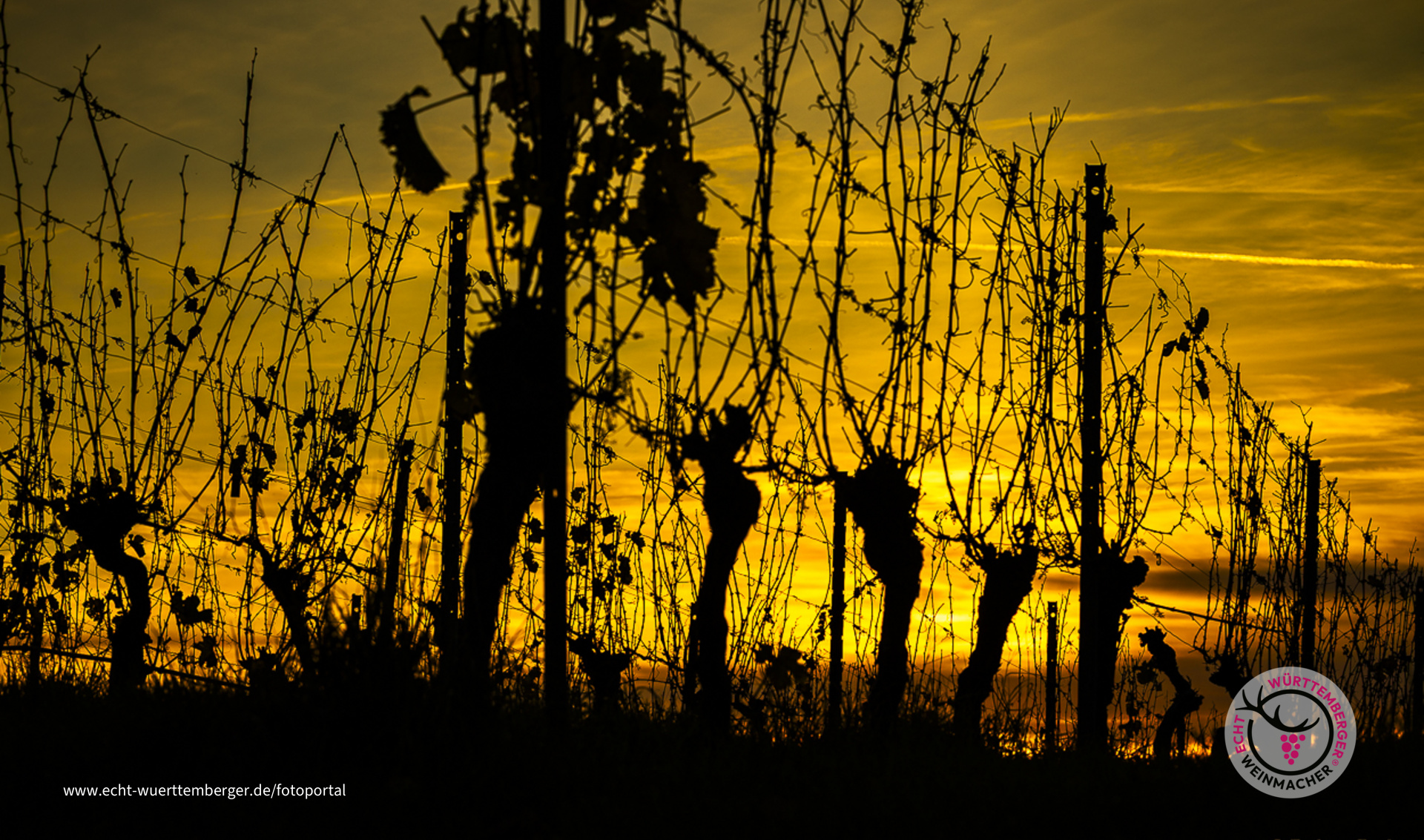 Wenn das Weinjahr zu Ende geht ...