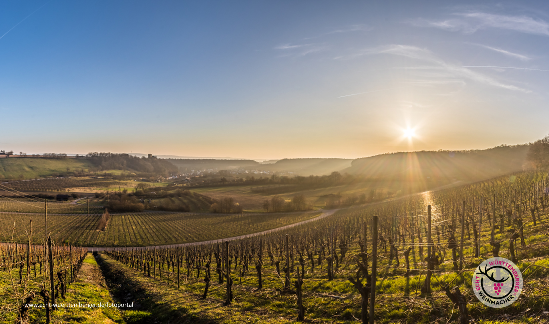 Sonnenuntergang über den Weinbergen