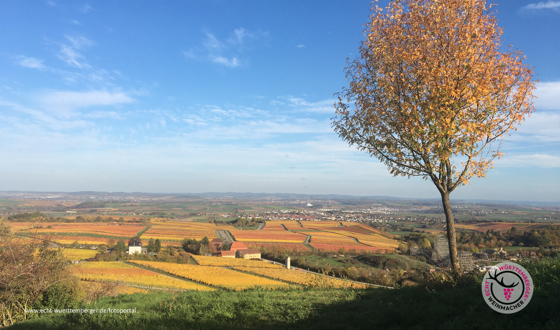 Goldener Herbst