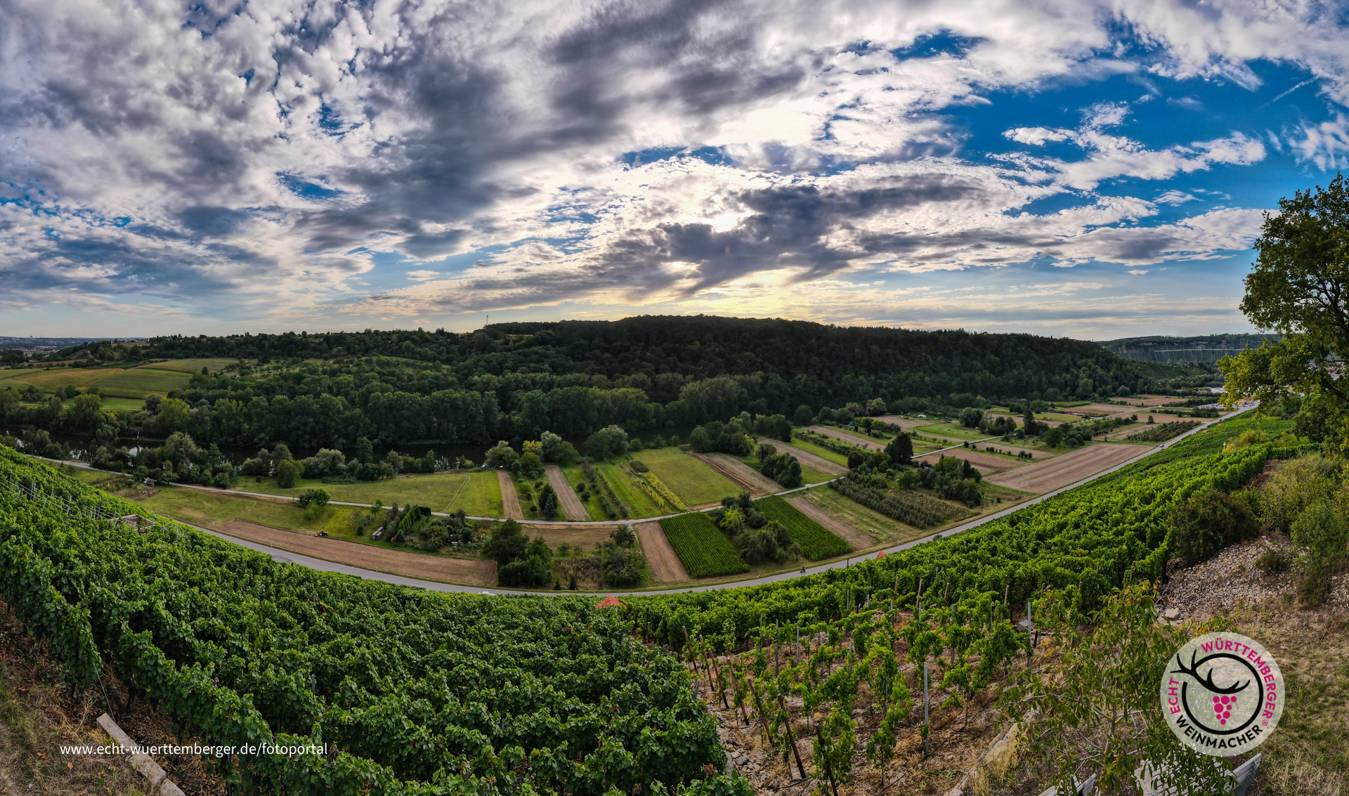 Aussicht vom Mundelsheimer Mühlbächer