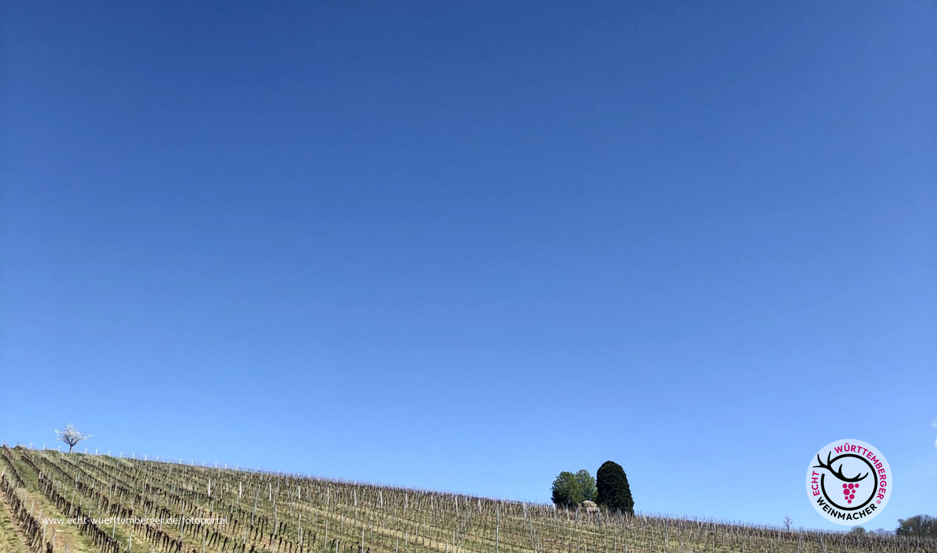 Der Sommer kann kommen 