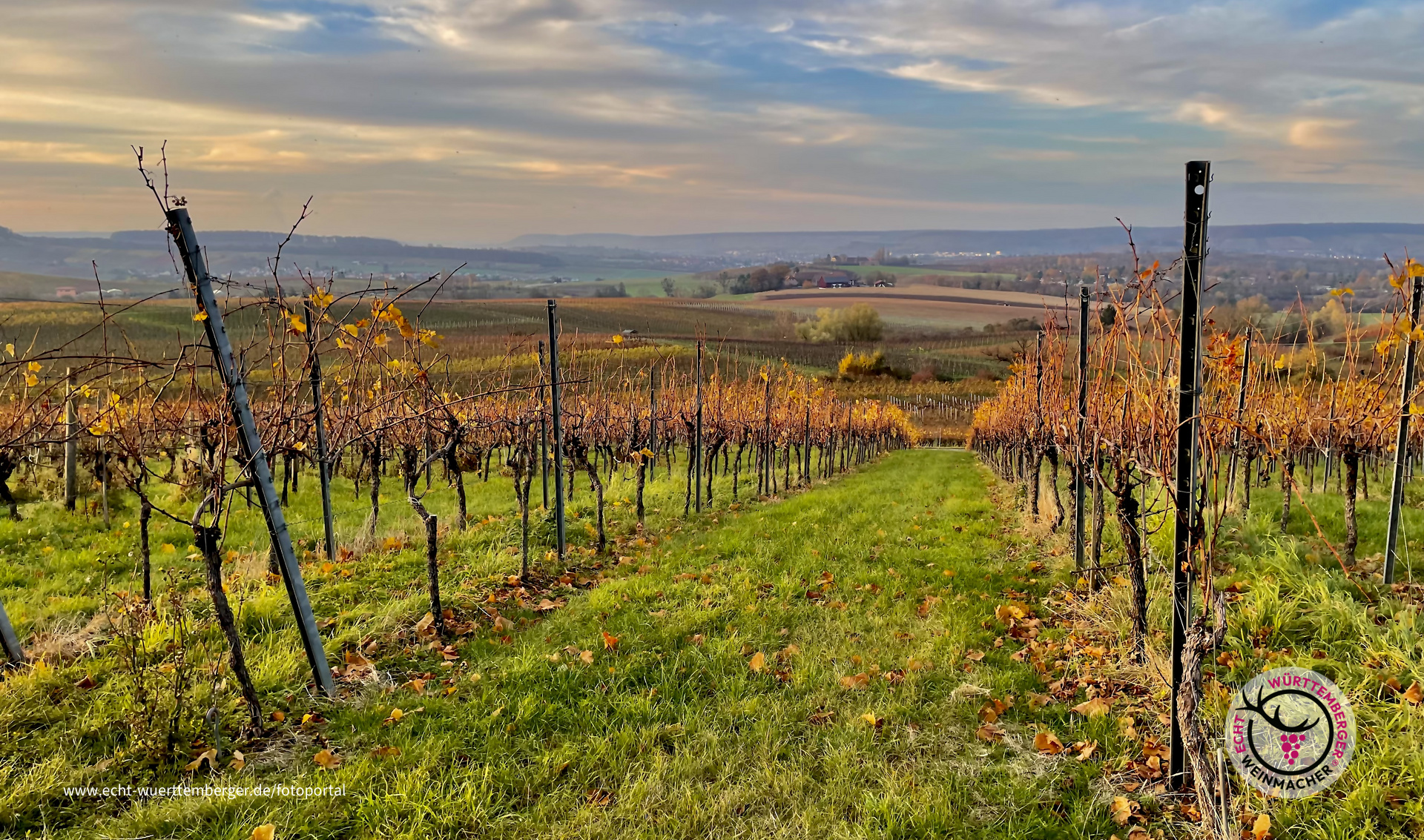 Goldener November 