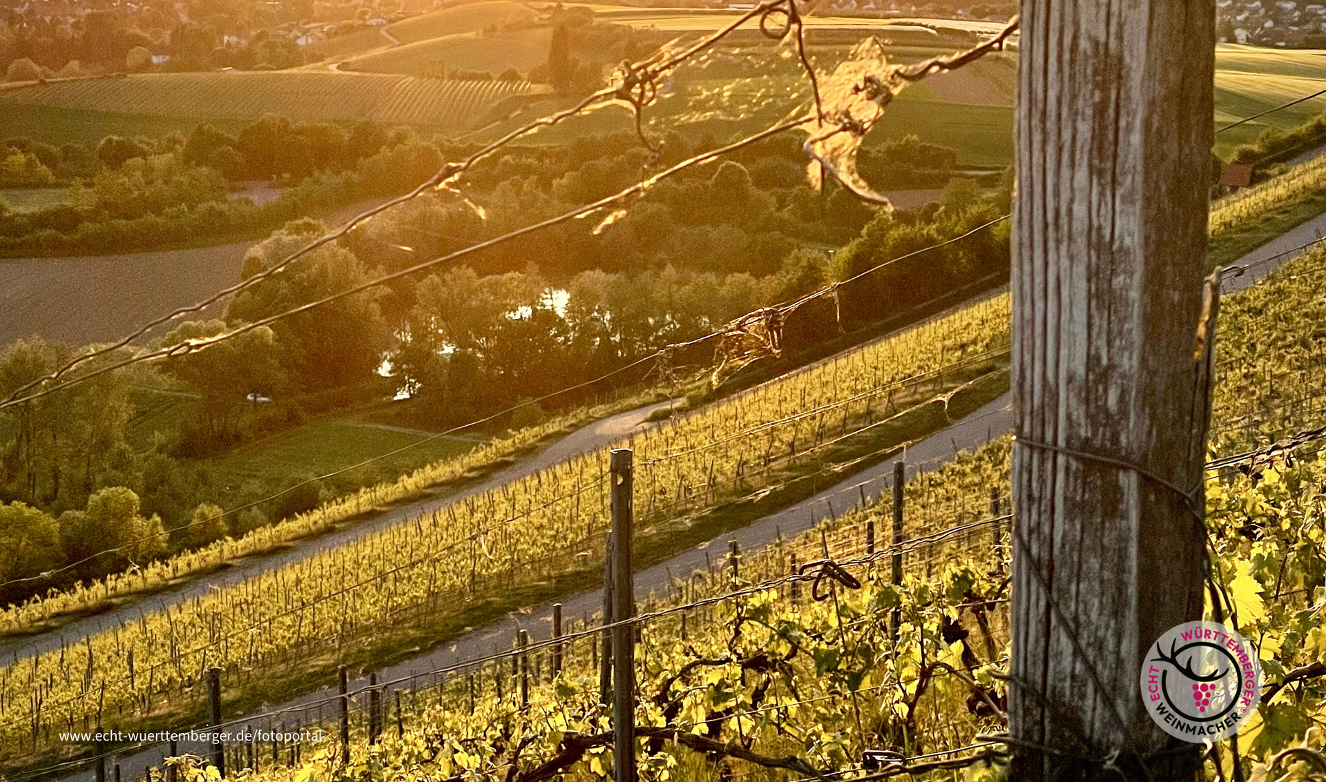 Abendstimmung im Weinsberger Tal 