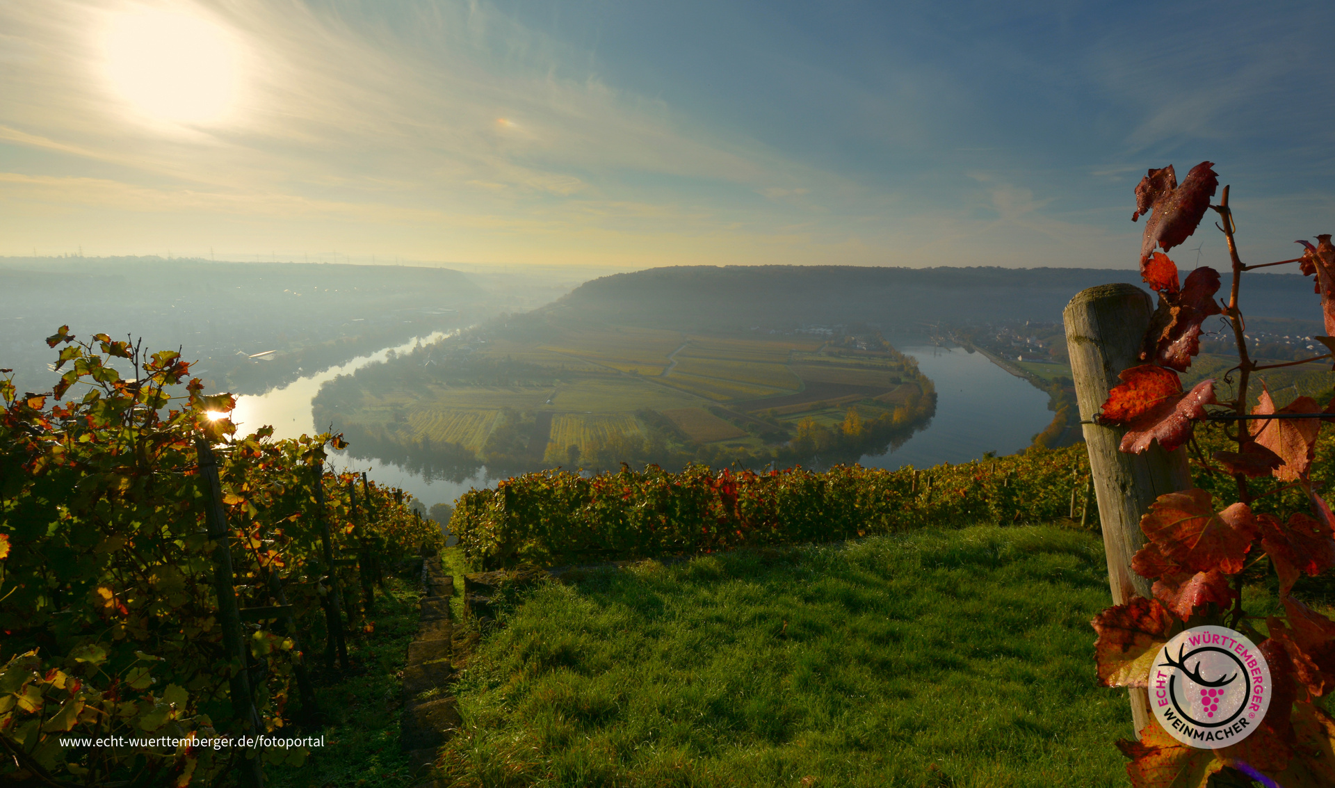 Goldenes Herbstlicht