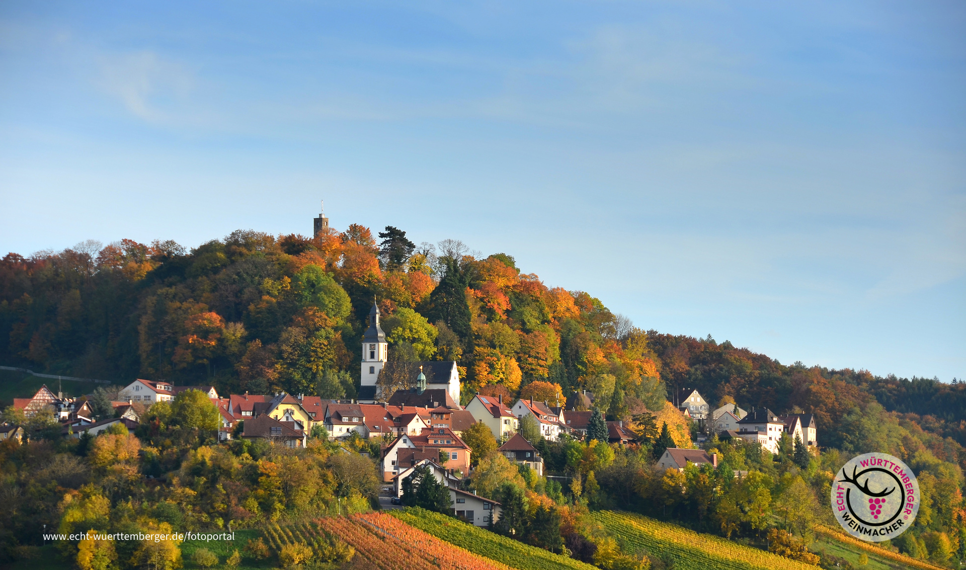 Weinparadies
