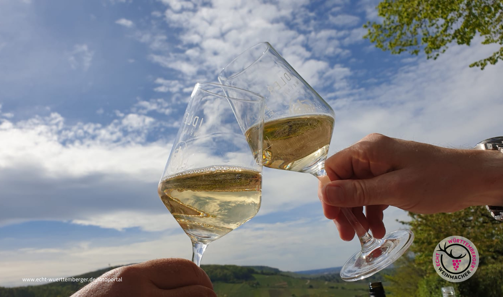Remstaler Weinwanderung