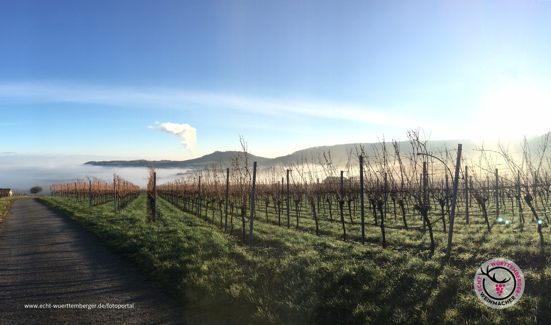Nebel über Cleebronn