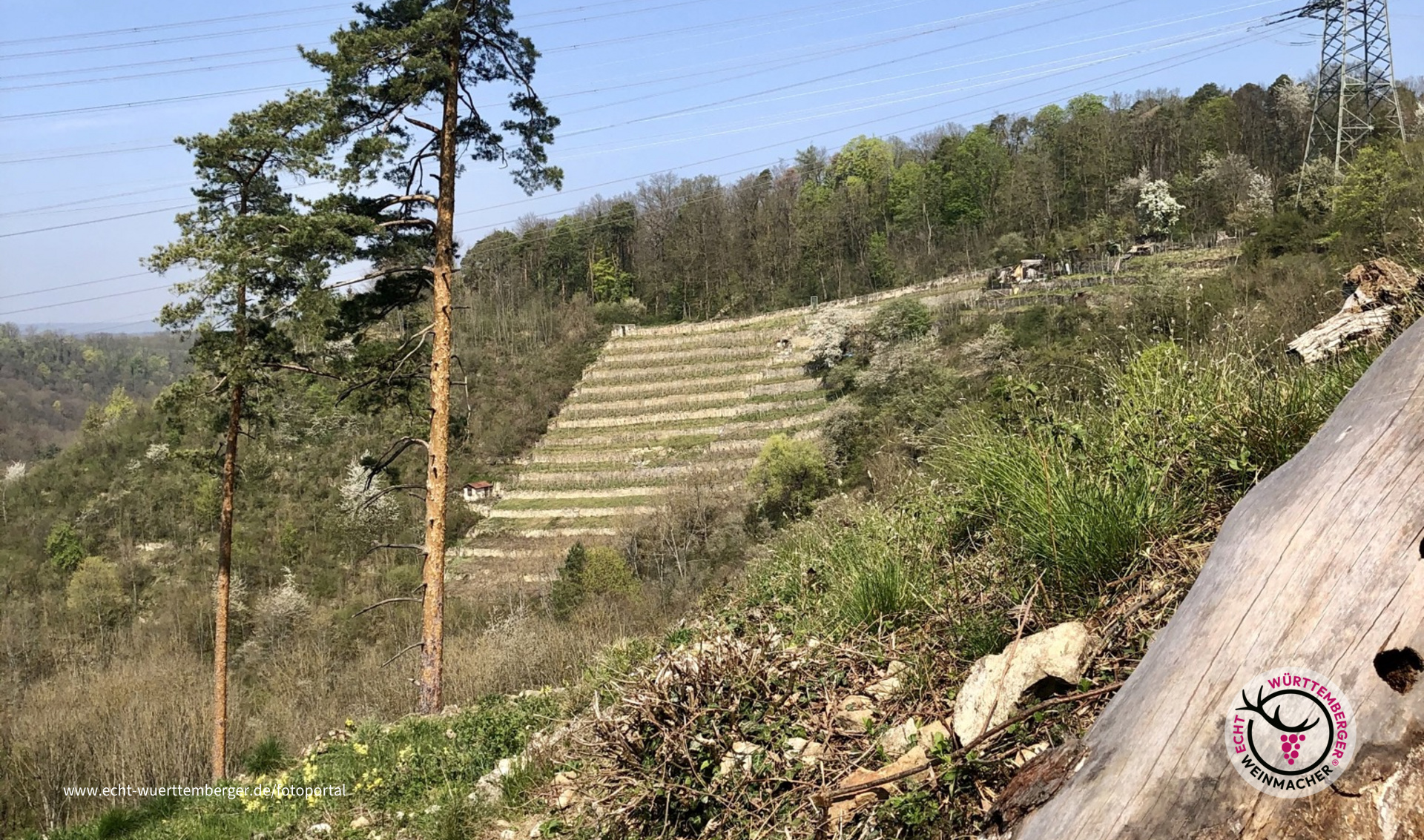 Steiiagen unter Strom