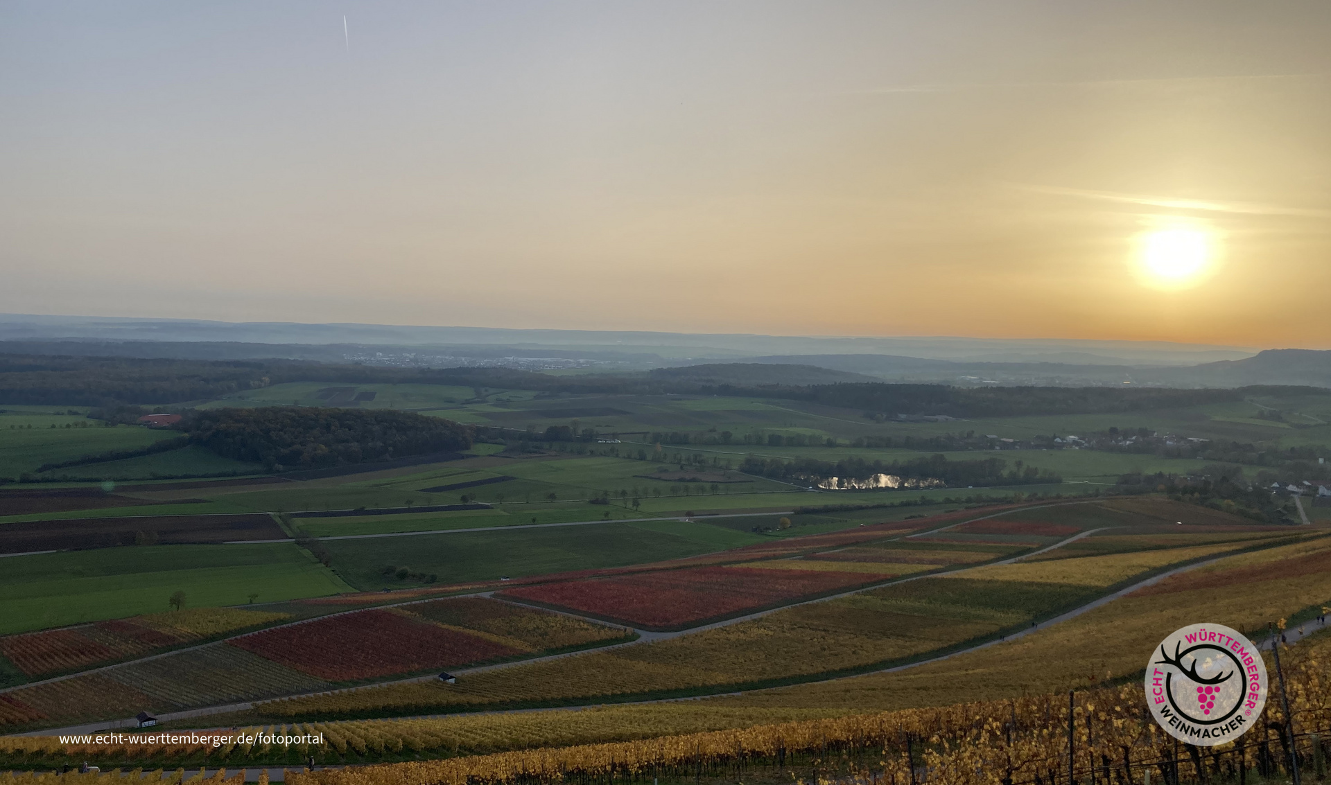 Hohenhaslacher Weinberge