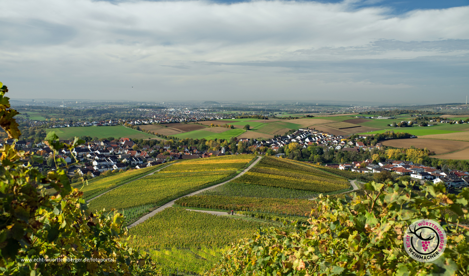 Ausblick vom Benning bis zum Hohen Asperg