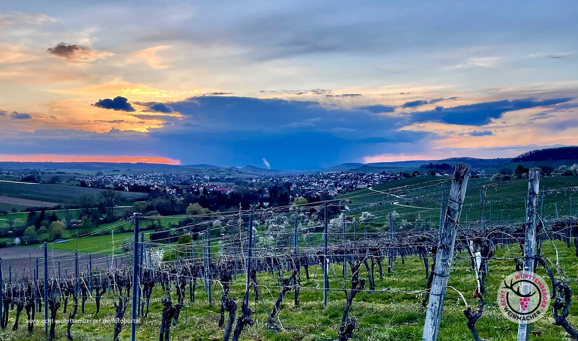 Abends im Weinberg im Weinsberger Tal 