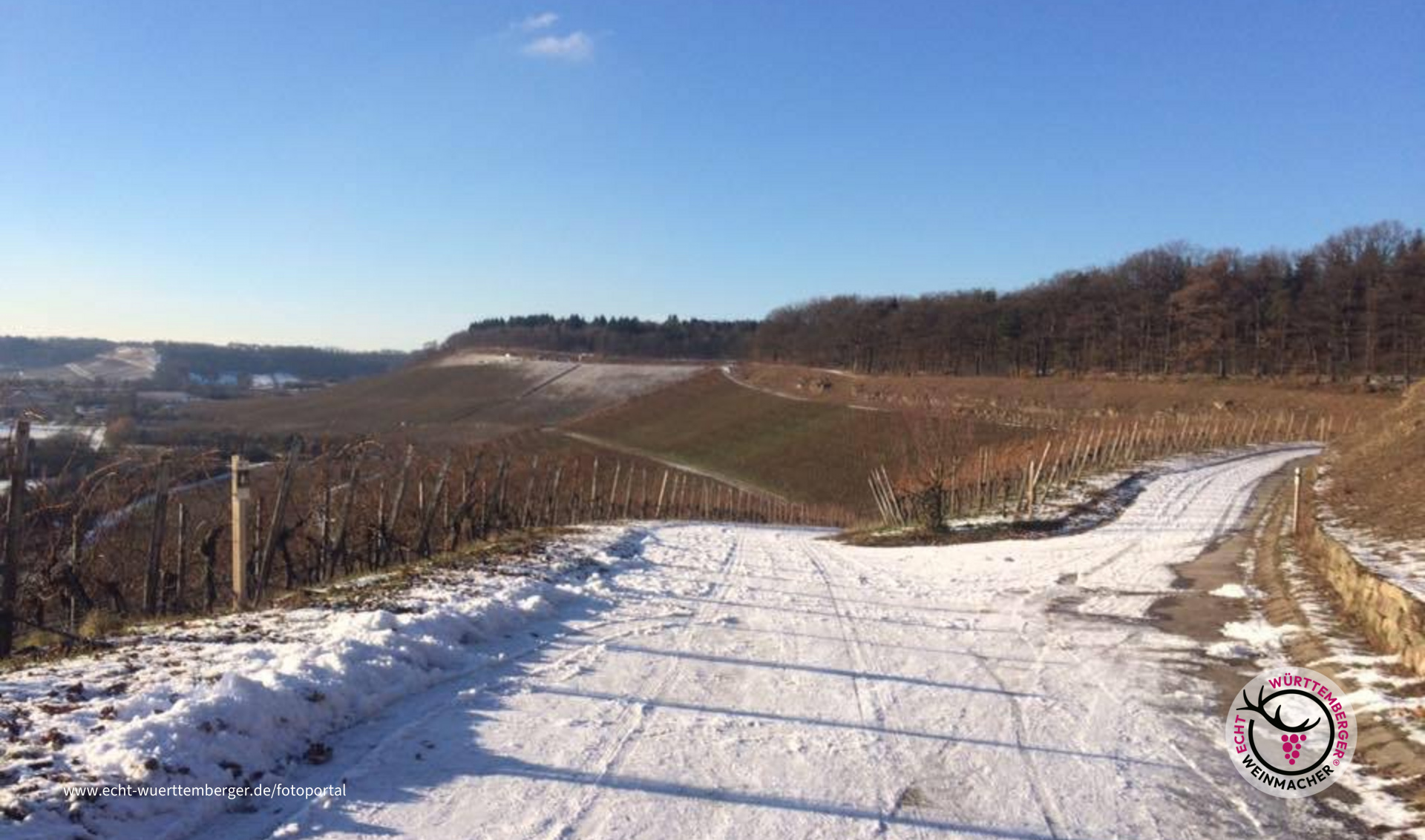 Winter am Zweifelberg