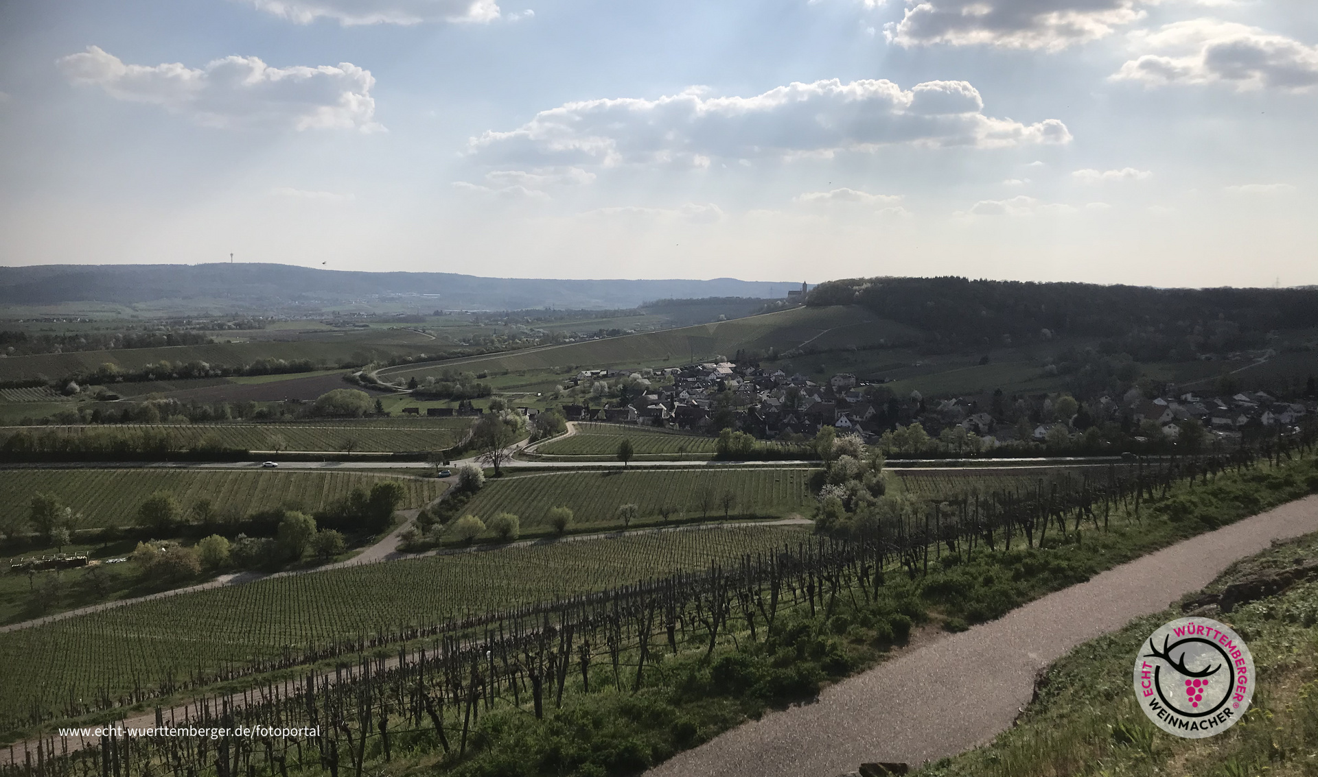 Zweifelberg im Frühling