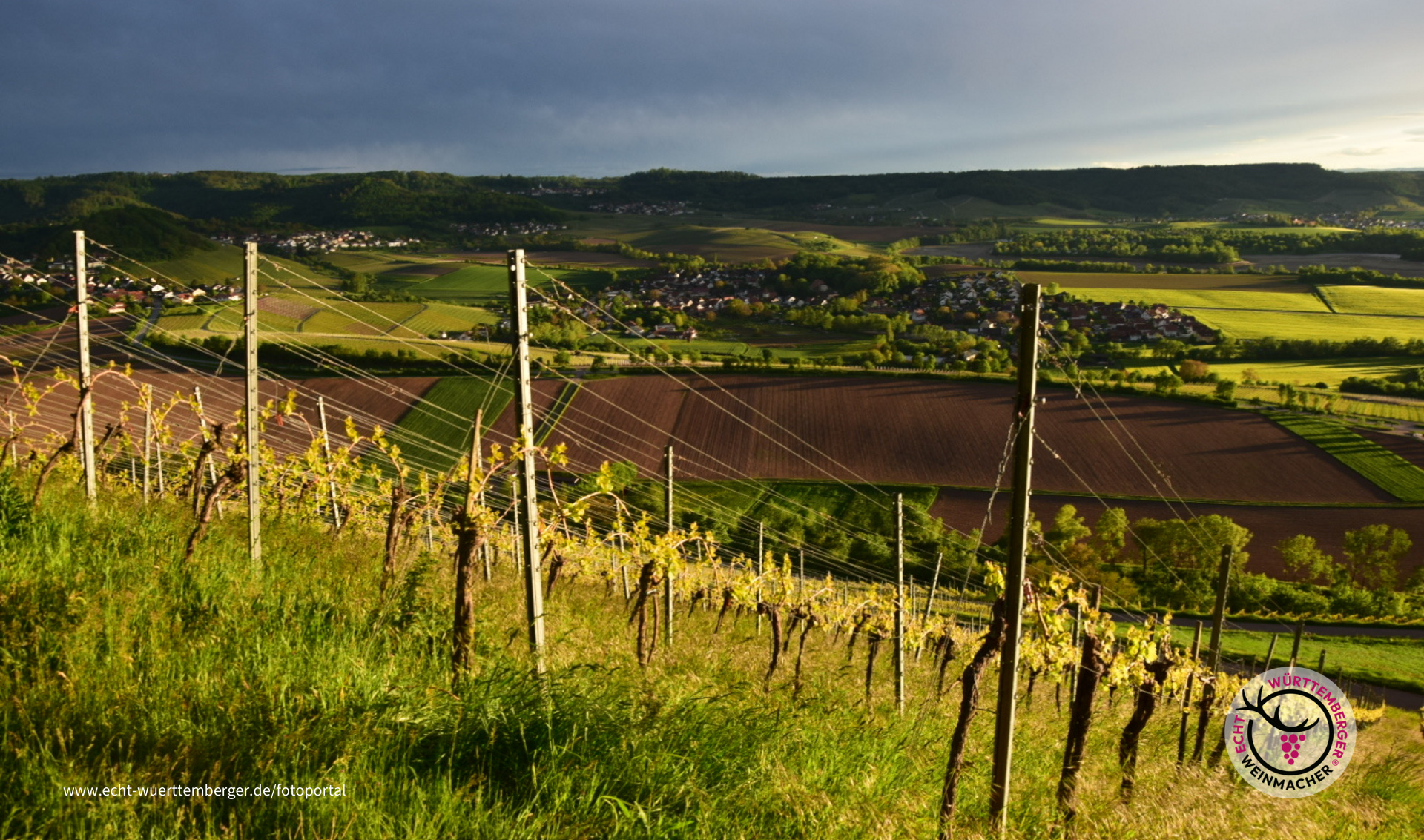 Weinsberger Tal mit den Löwensteiner Bergen im Abendlicht 