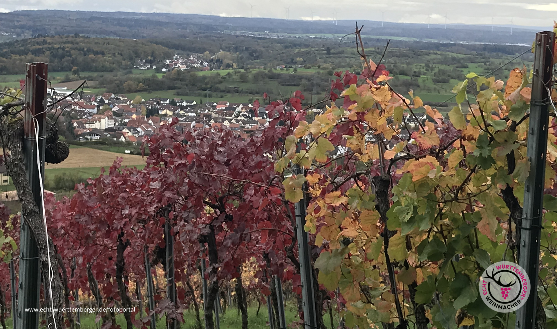 Herbsttag 