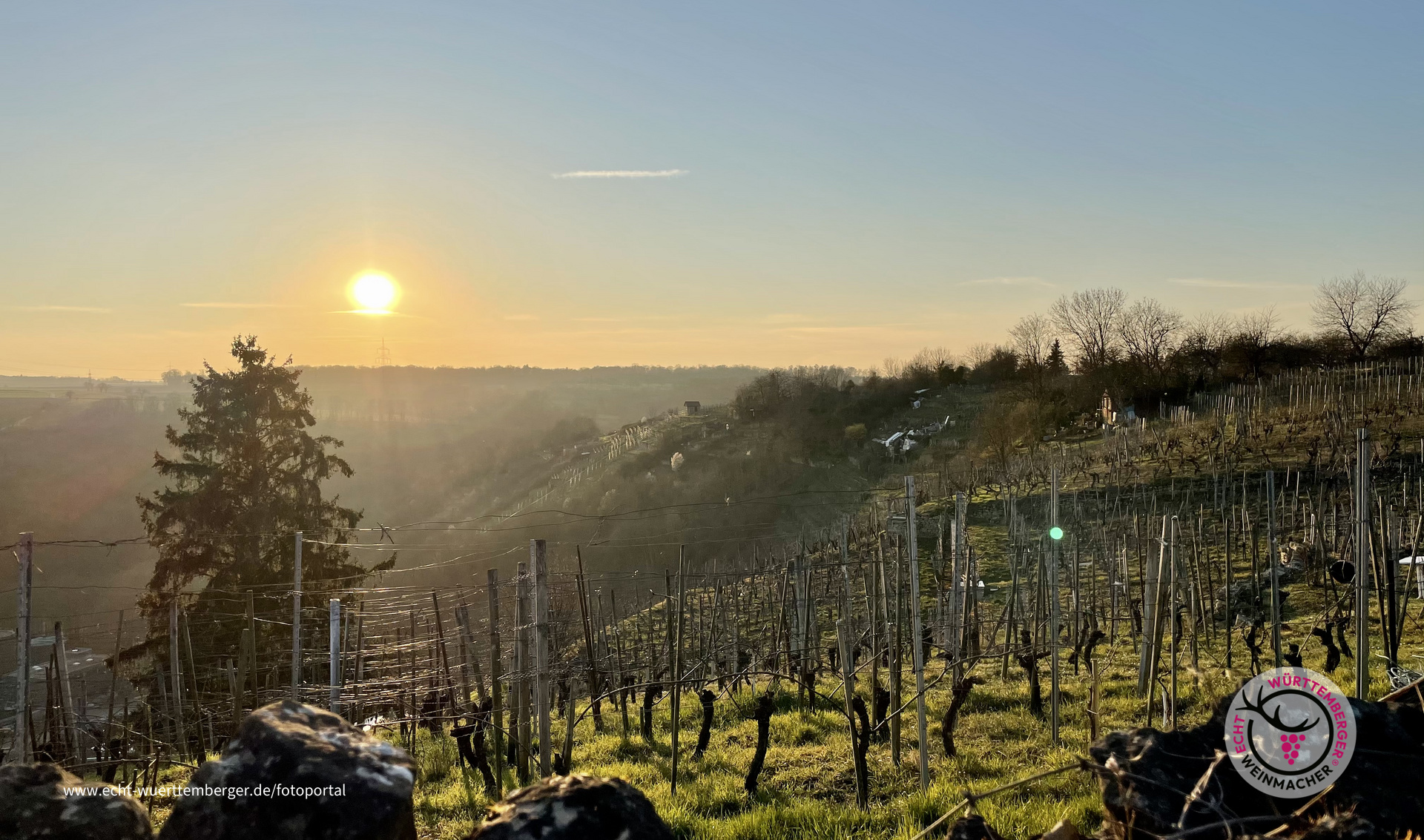 Sonnenuntergang in den Weinbergen von Markröningen 