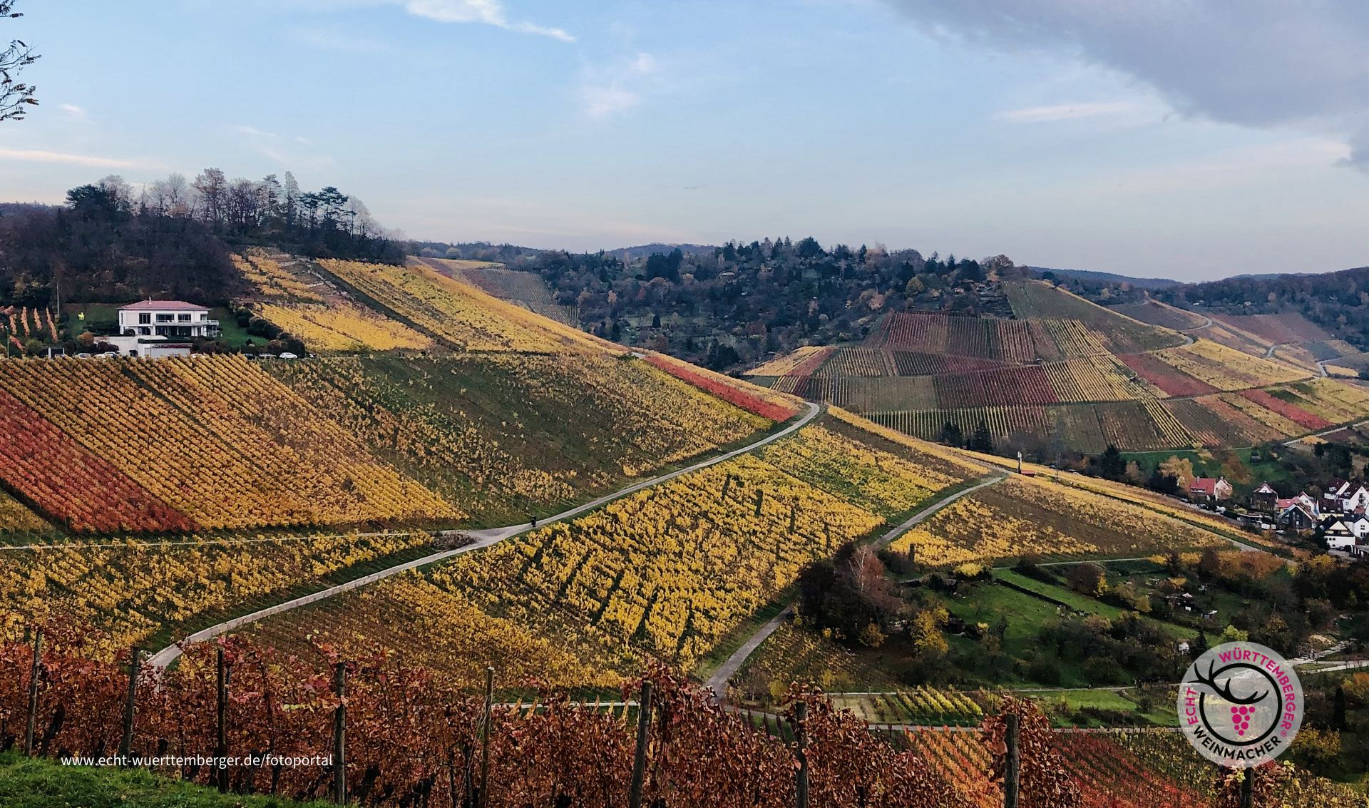 Rotenberg Stuttgart 