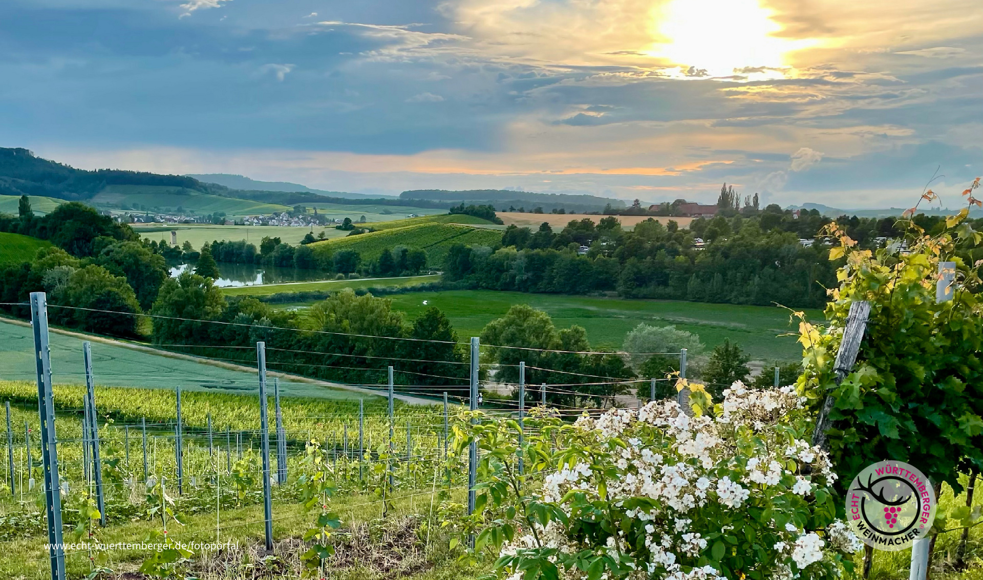 Abendstimmung im Weinsberger Tal 