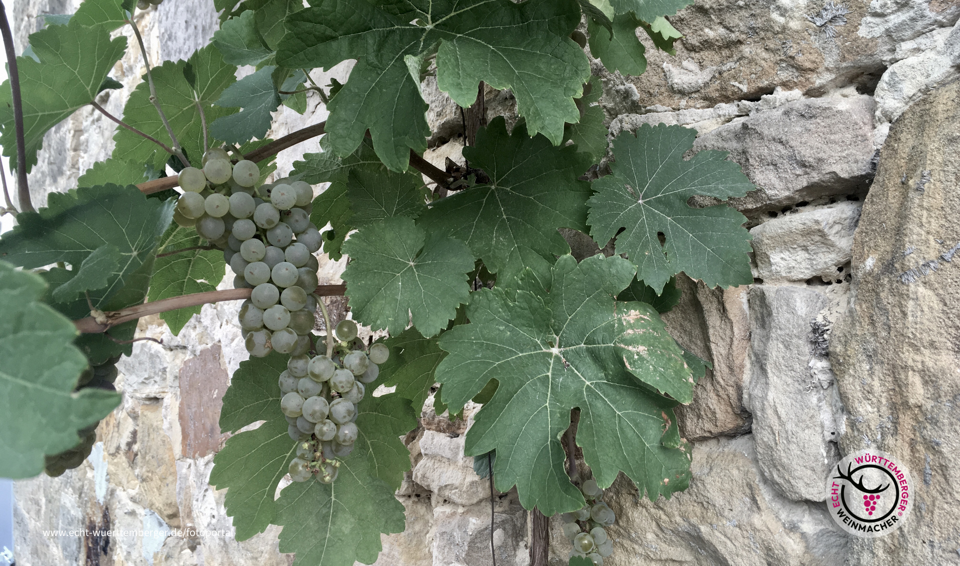 Einkehr im September