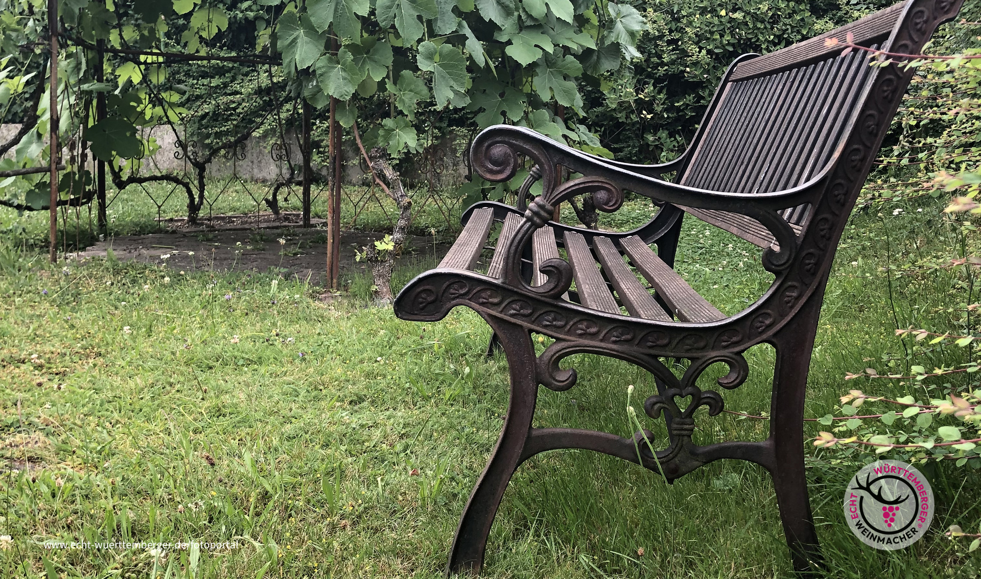 Wein zuhause genießen