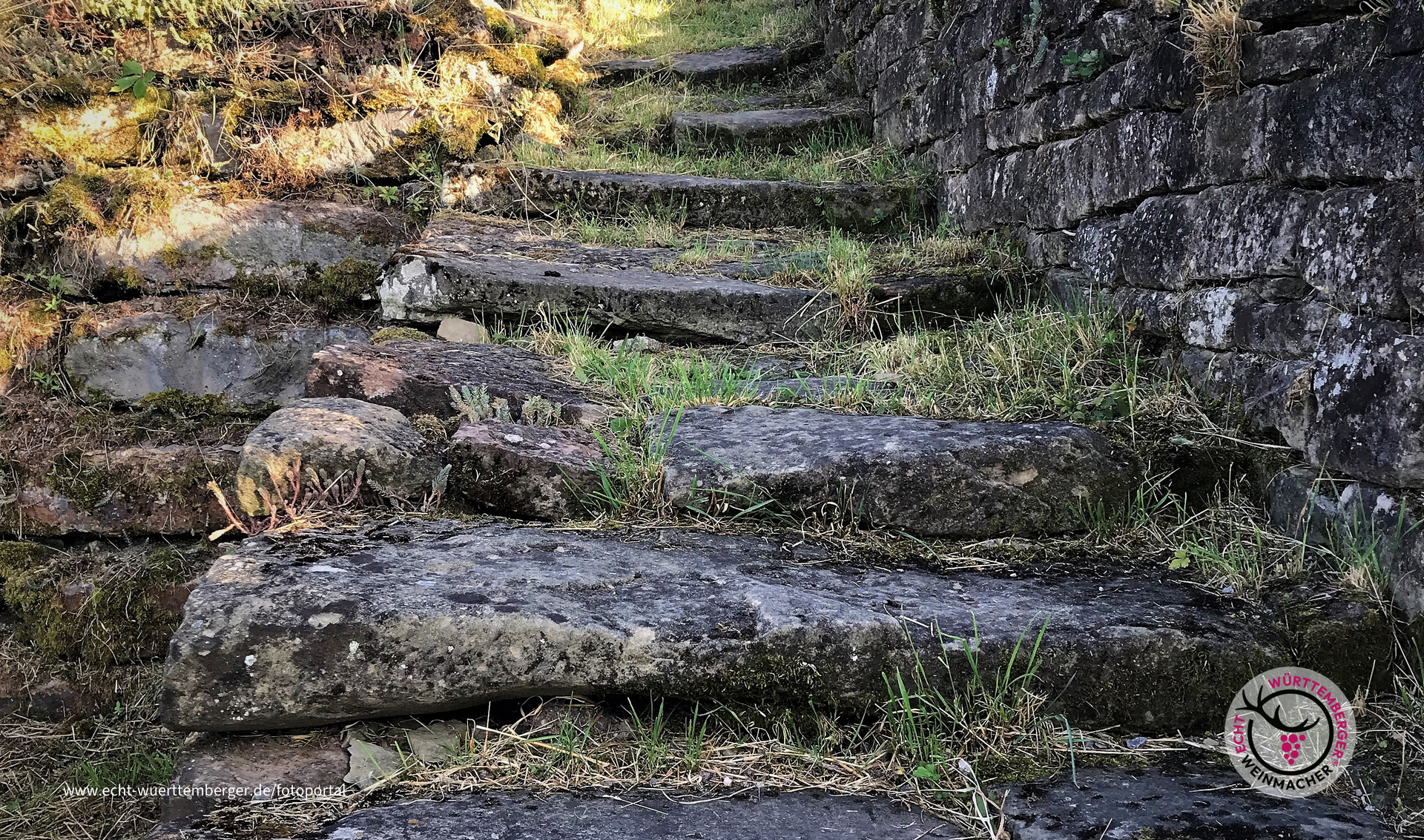 Beschwerlicher Aufstieg