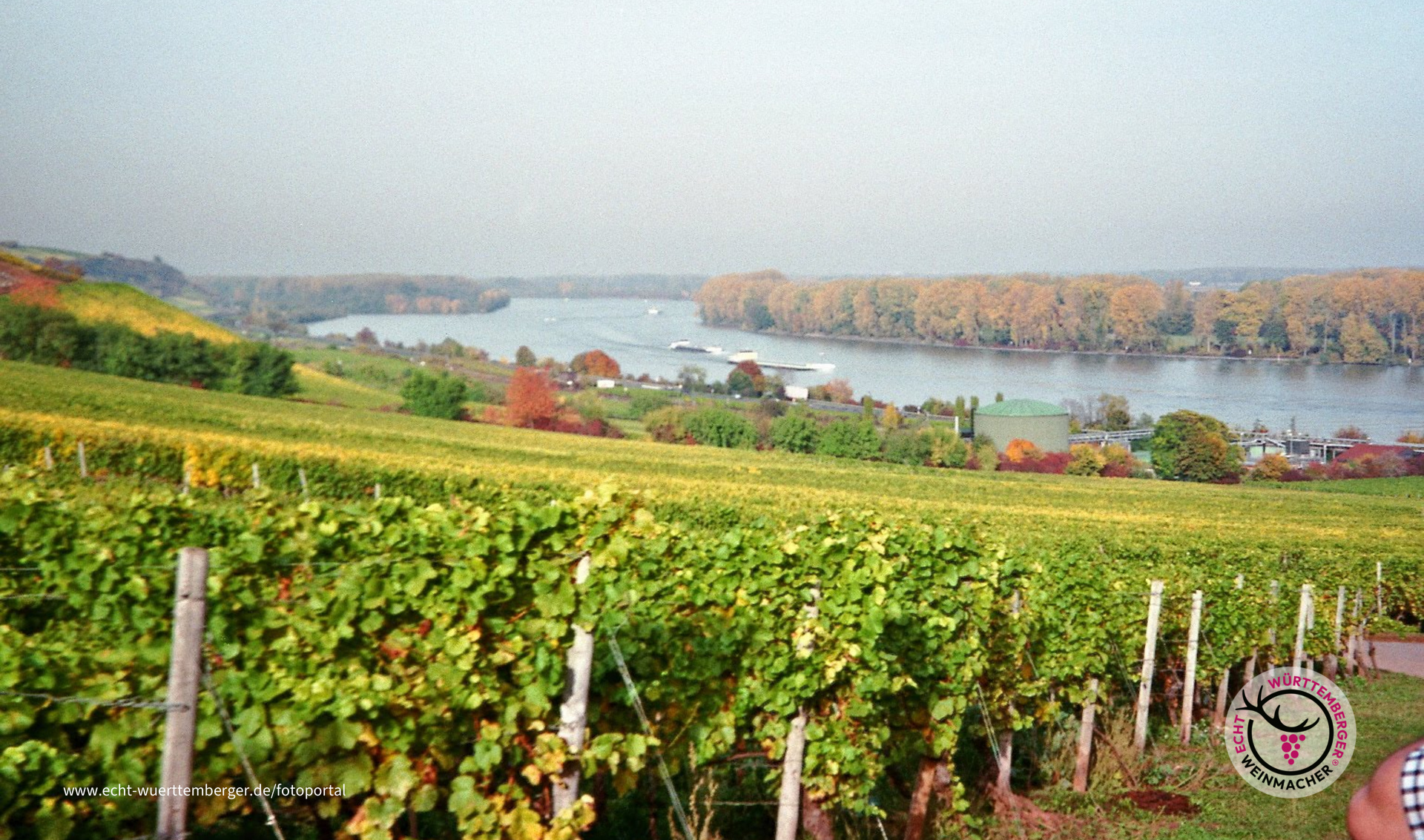 Ausflug durch die Weinberge