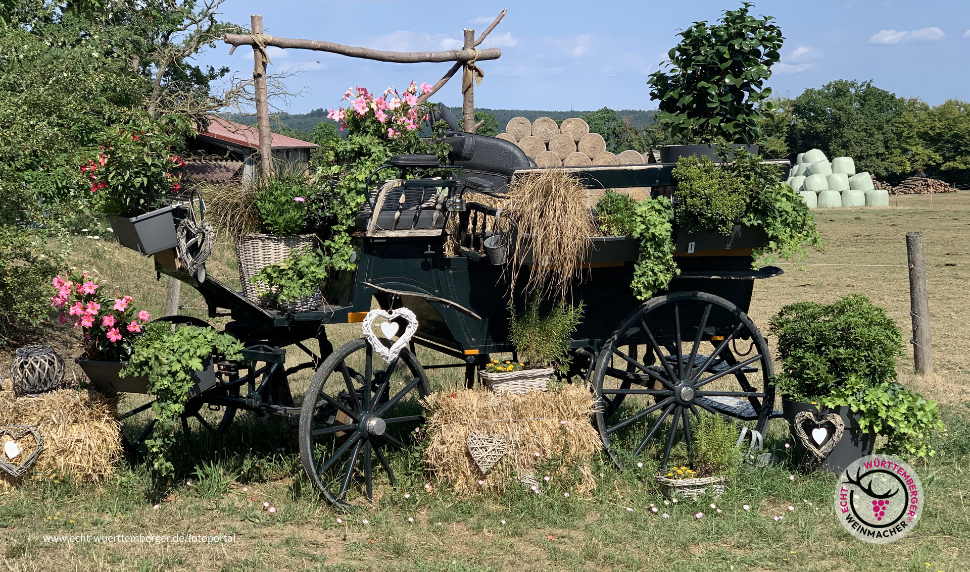 Herbstwagen 