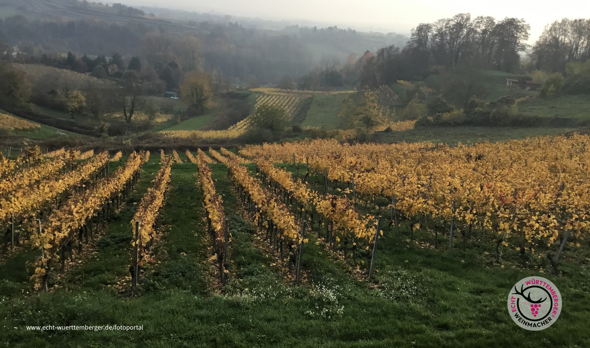 Herbstausflug