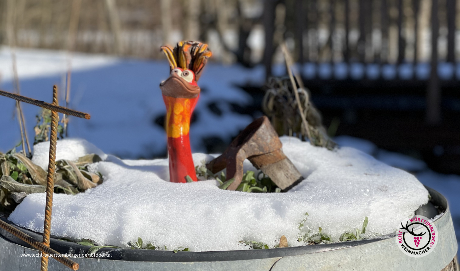 Schauen was der Winter macht