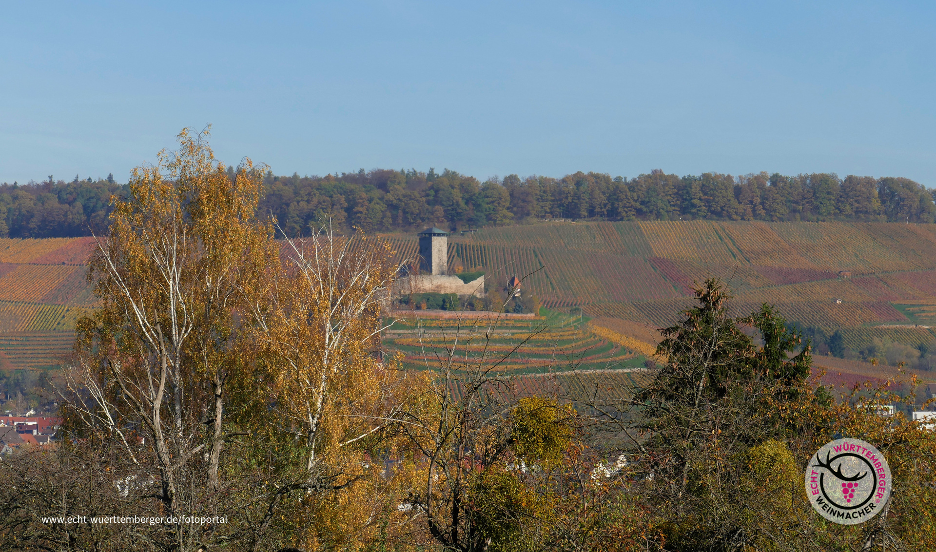 Blick auf Burg Hohenbeilstein
