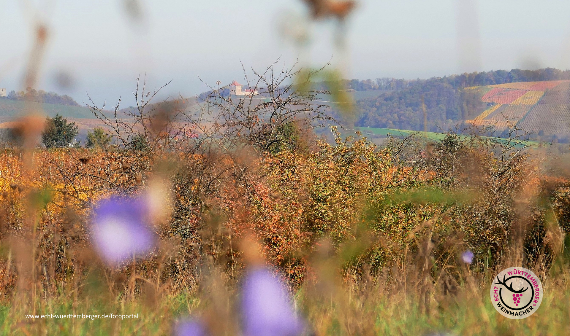 Blick auf Burg Wildeck